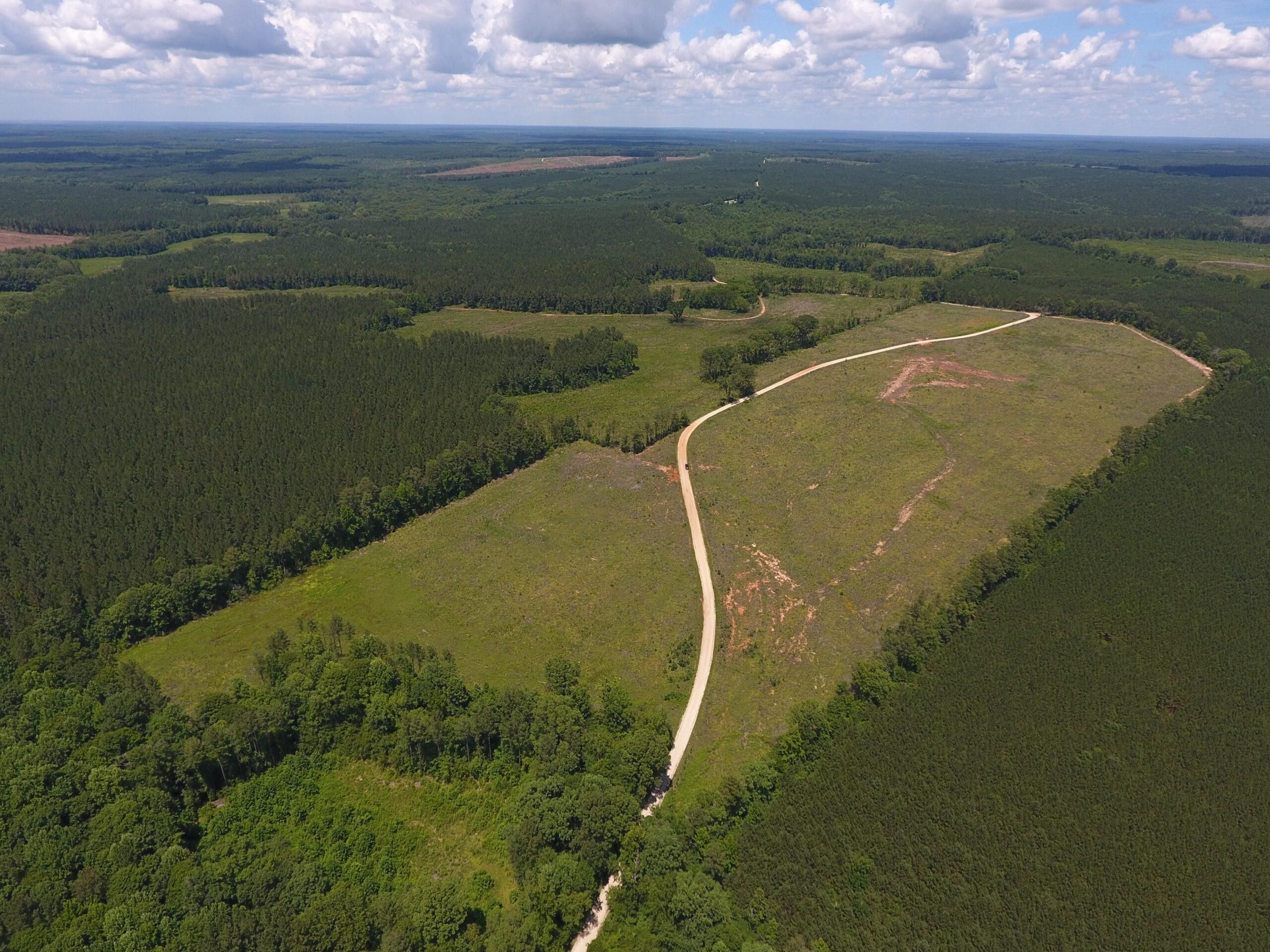 Chappells, Saluda County, SC Recreational Property, Timberland Property