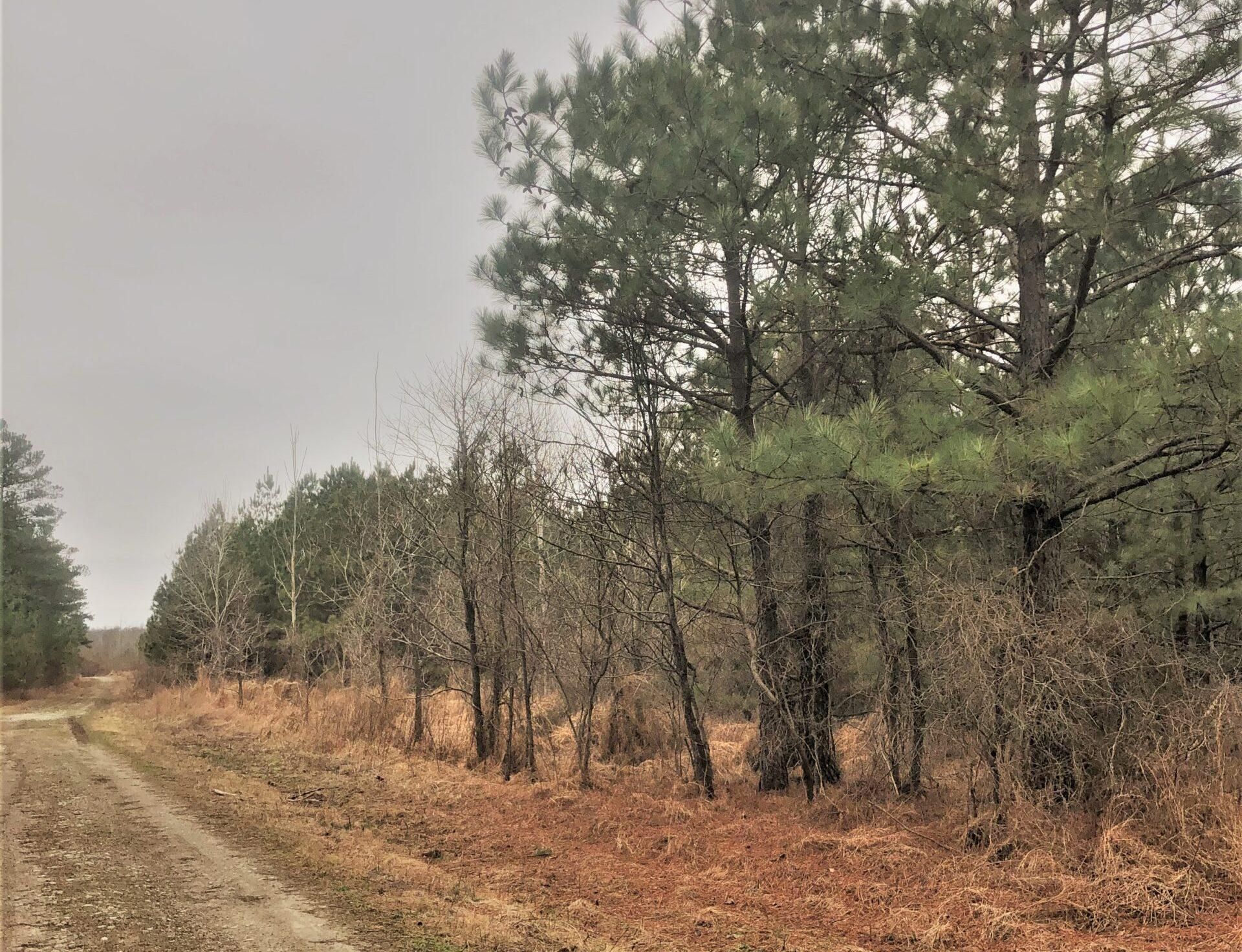 Burna, Livingston County, KY Recreational Property, Timberland Property