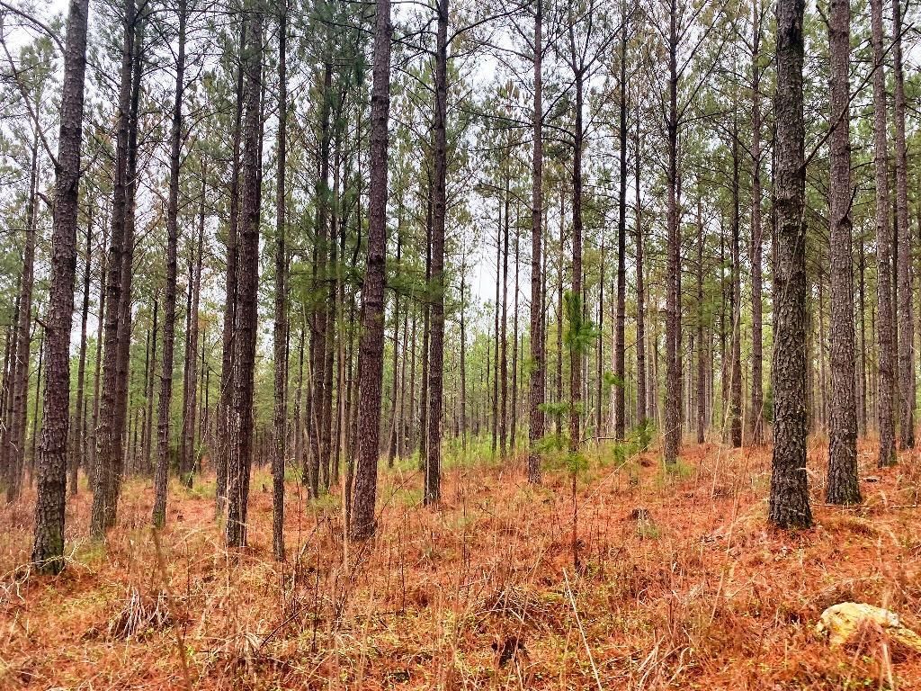 Rome, Floyd County, GA Recreational Property, Timberland Property