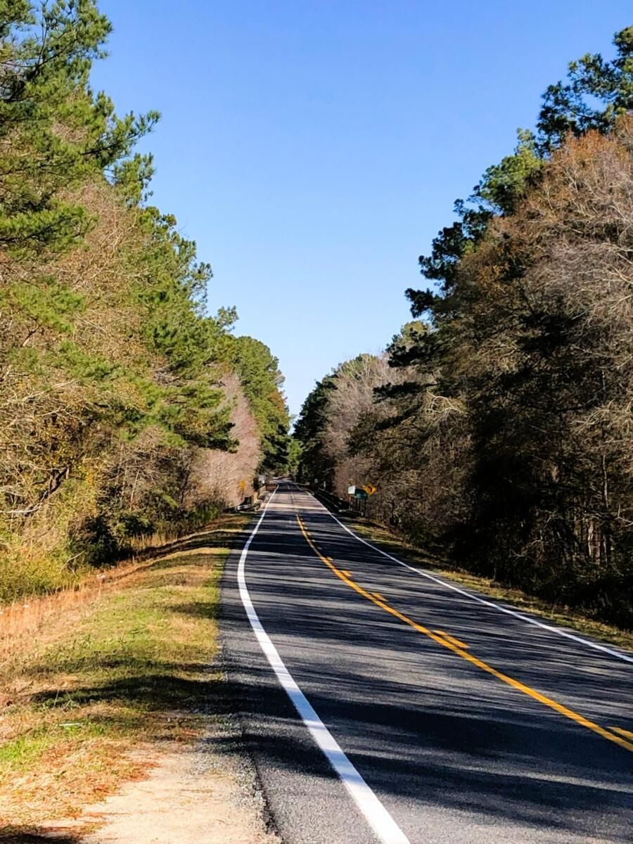 Bacon County, Alma, GA 31510 LandWatch