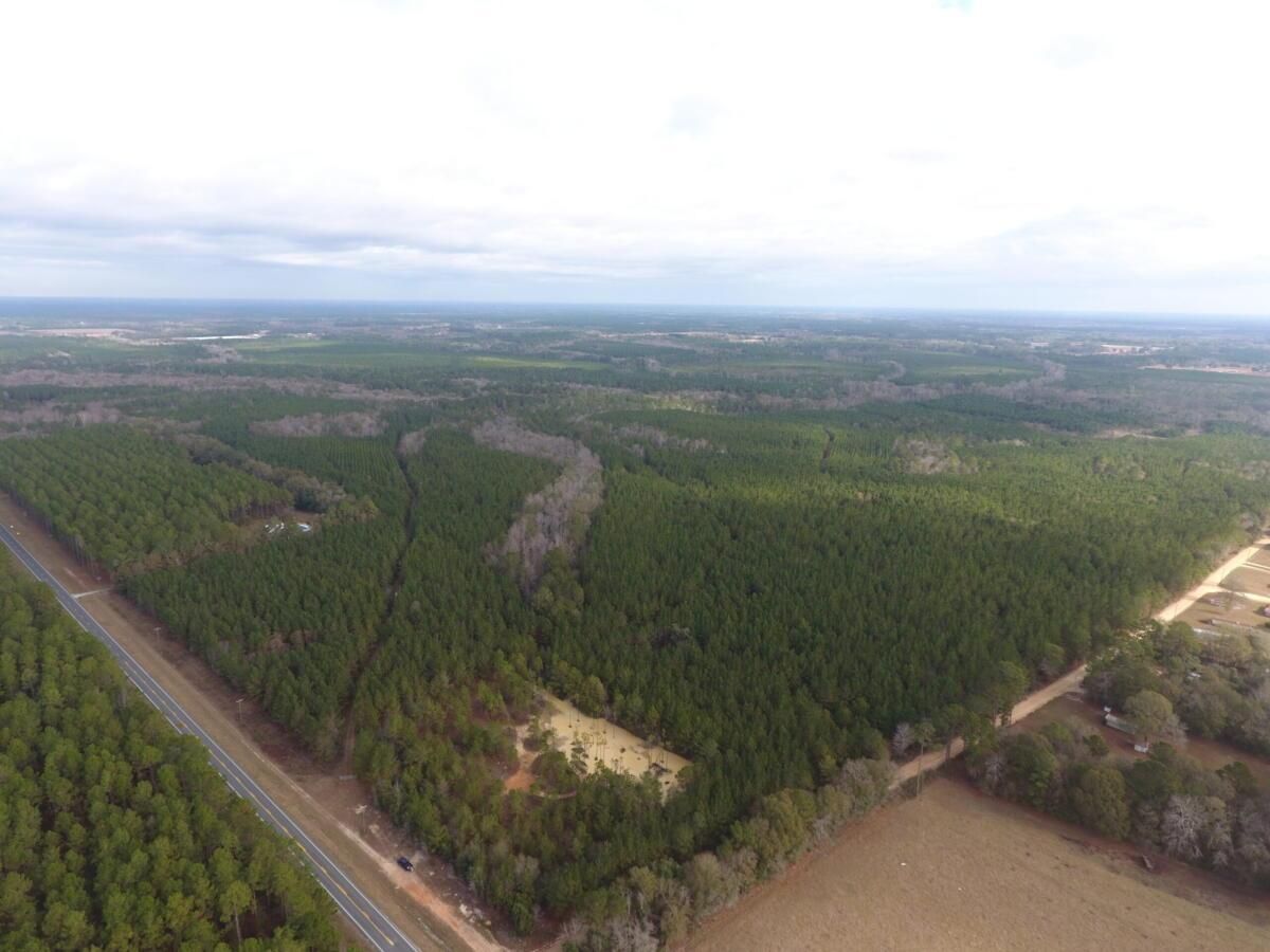 Bacon County, Alma, GA 31510 LandWatch