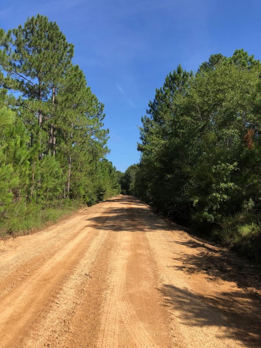 Rochelle, Wilcox County, GA Recreational Property, Timberland Property