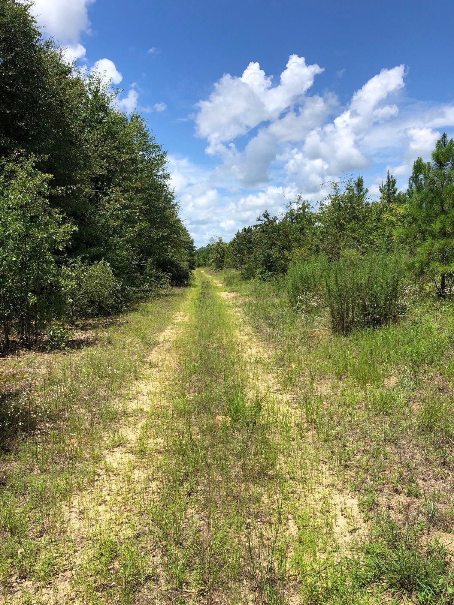 Laurens County, East Dublin, GA 31027 LandWatch