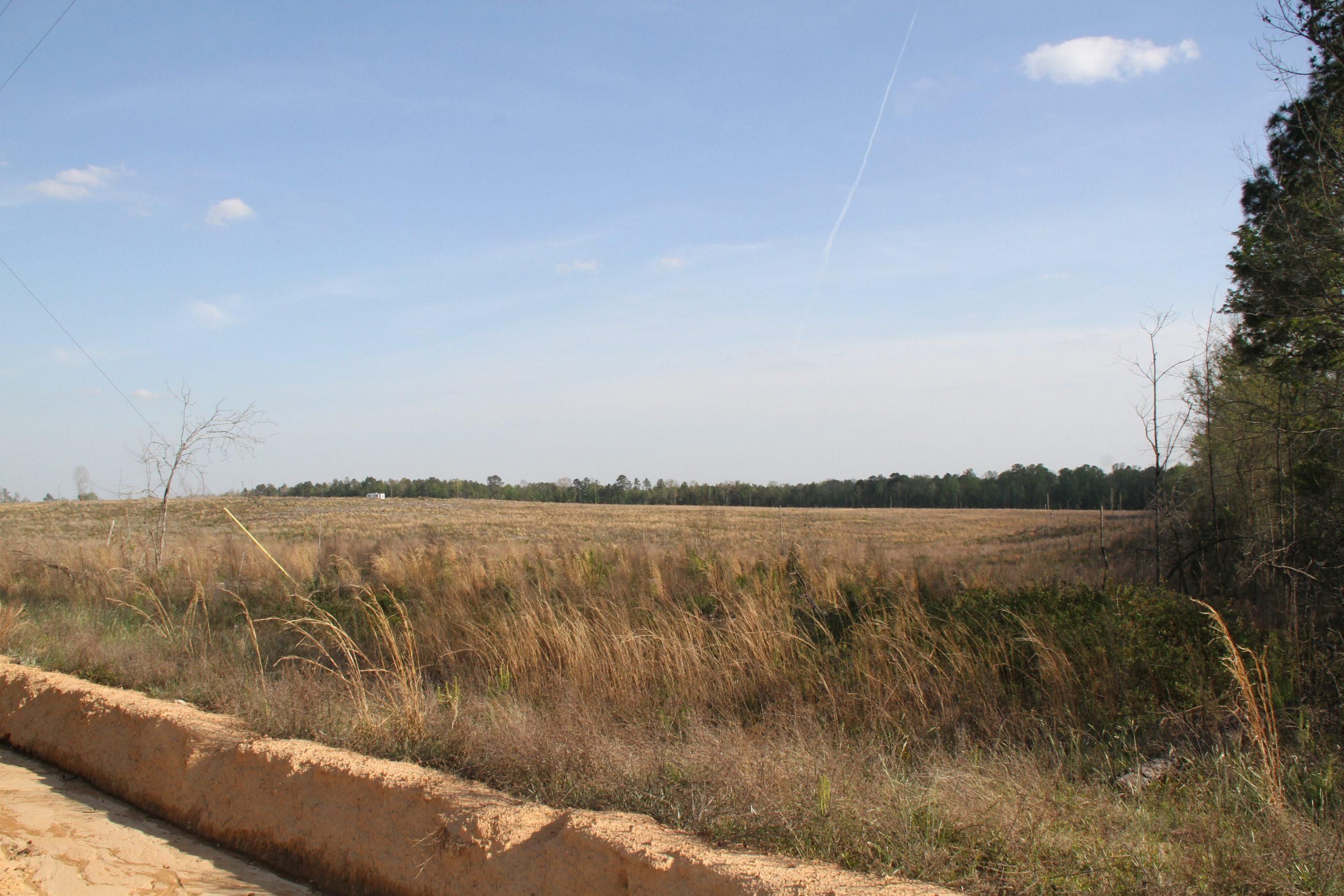 Taylor County, Butler, GA 31006 LandWatch