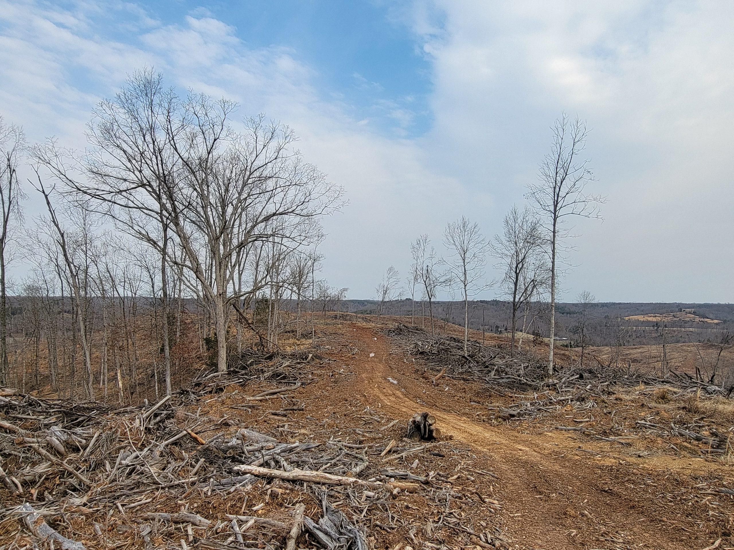 Mason County, West Virginia, Ripley, WV 25271 LandWatch