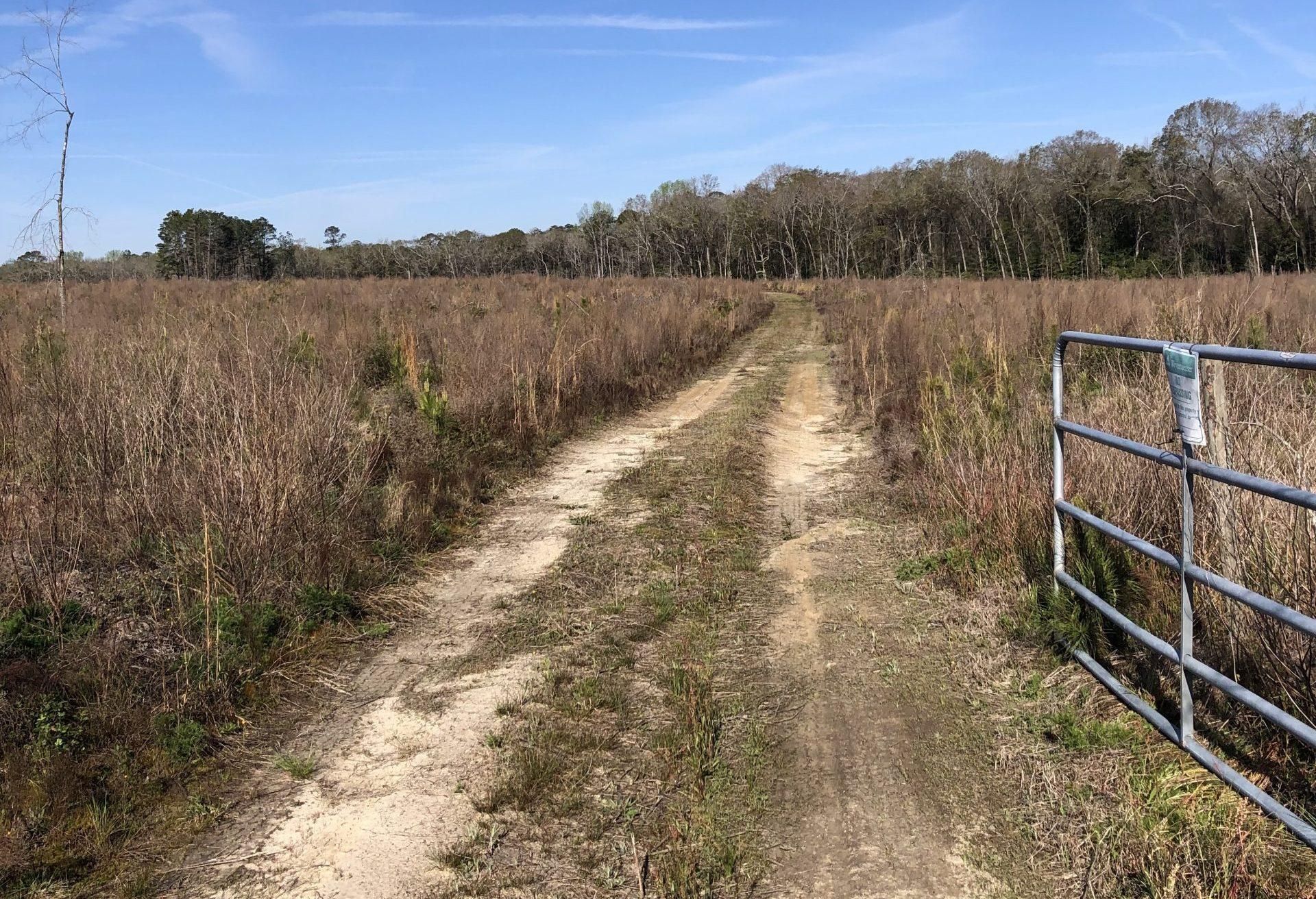 Macon County, Butler, GA 31006 LandWatch