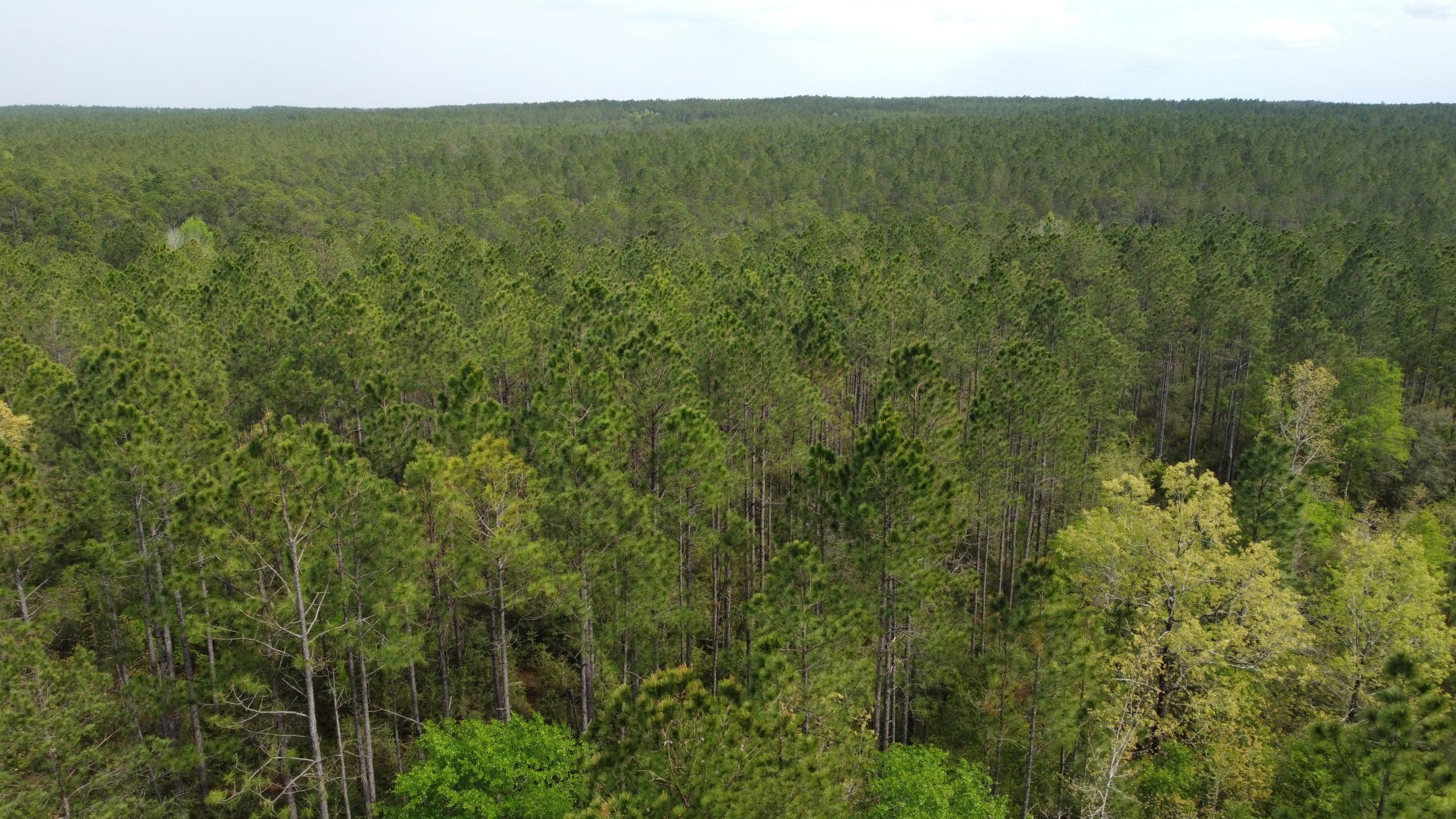 Walton County, Florida, Crestview, FL 32539 LandWatch