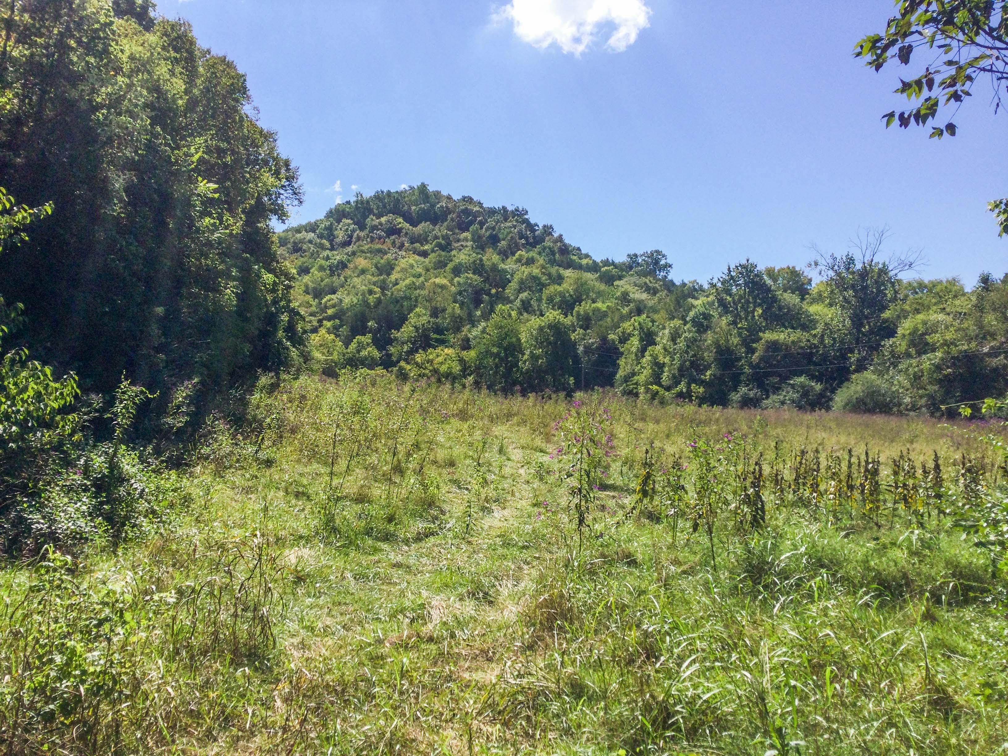 Woodbury, Cannon County, TN Farms and Ranches, Undeveloped Land, House