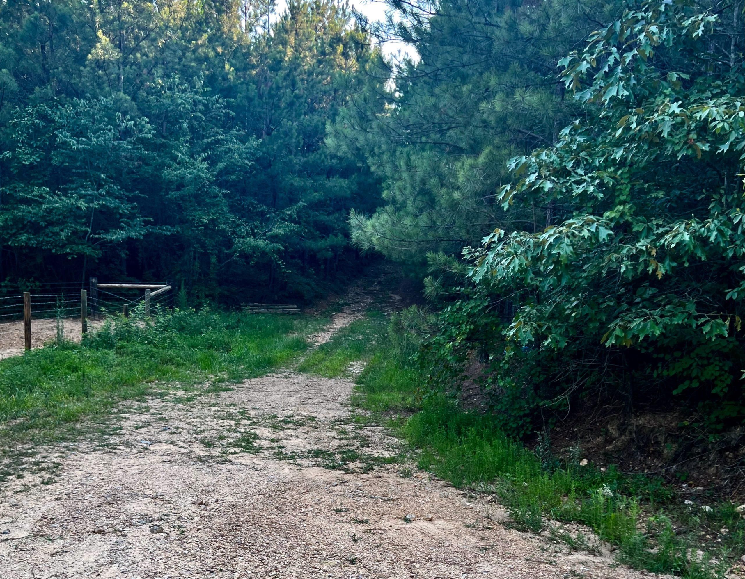 Perry County, Tennessee, Hohenwald, TN 38462 LandWatch