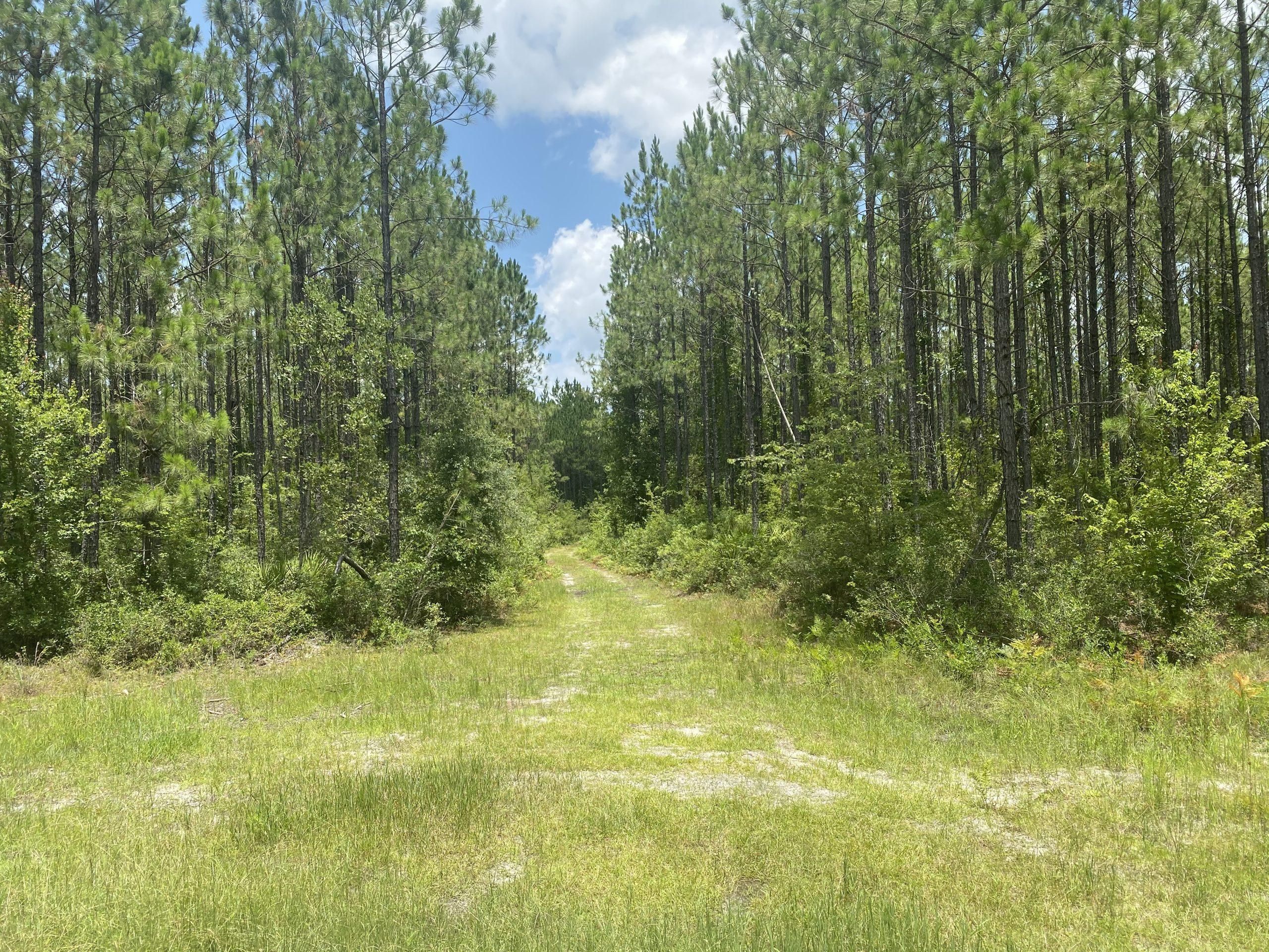 Clinch County, Homerville, GA 31634 LandWatch