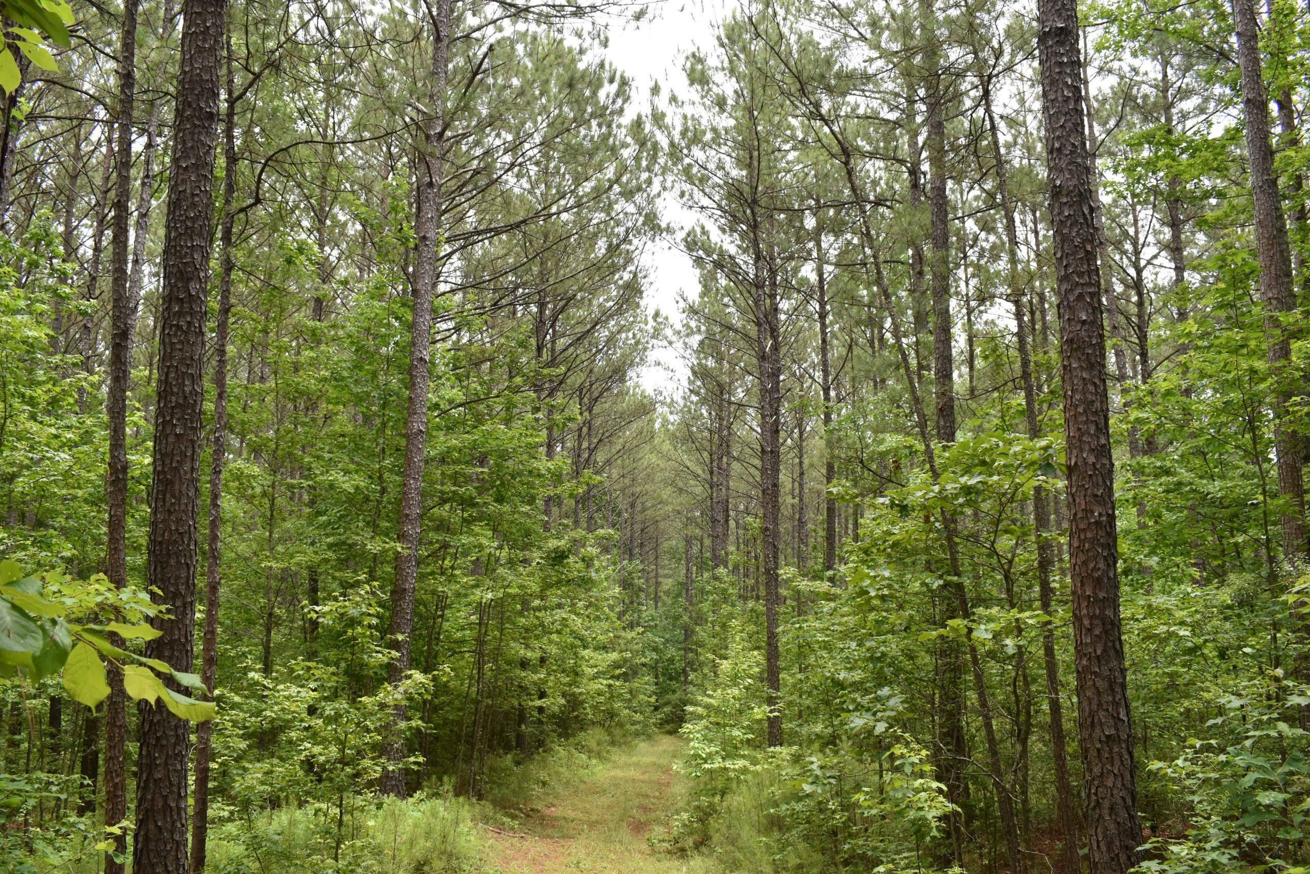 Heard County, Glenn, GA 30217 LandWatch