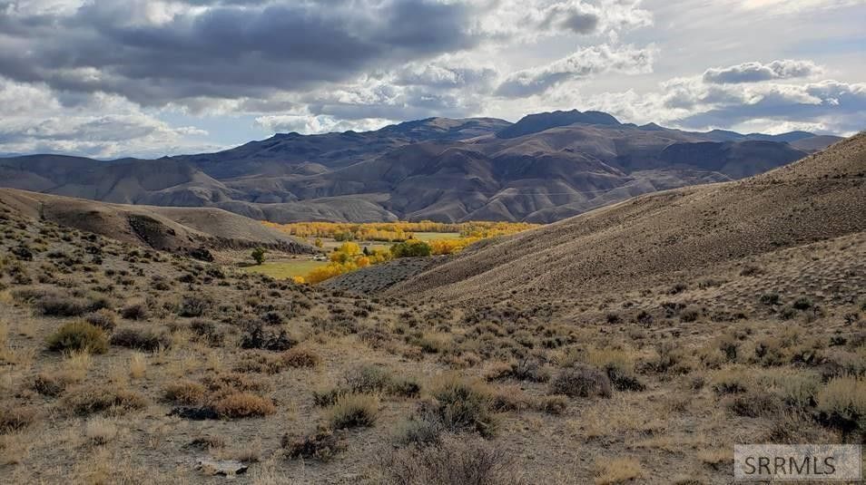 Challis, Custer County, ID Farms and Ranches for sale Property ID