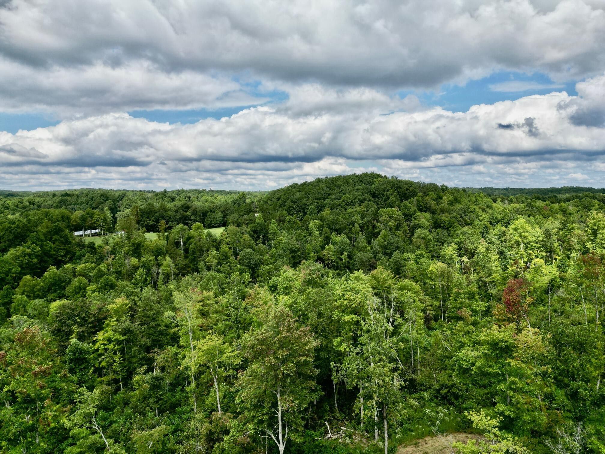 Beattyville, Lee County, KY Undeveloped Land for sale Property ID