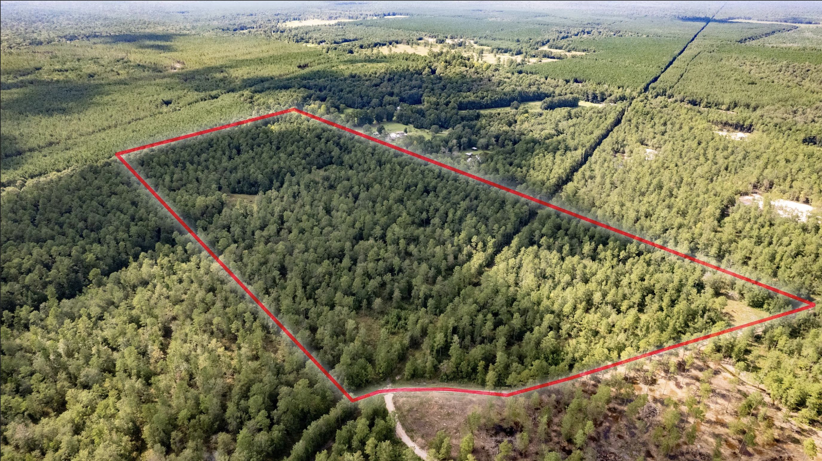 Sour Lake, Hardin County, TX Recreational Property, Hunting Property