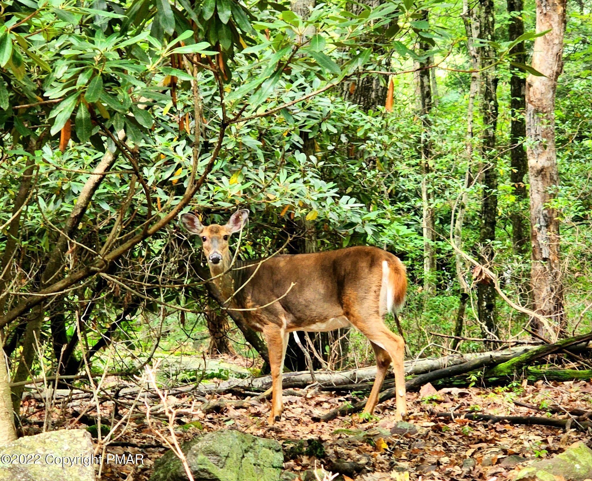 Jim Thorpe, Carbon County, PA Farms and Ranches, Homesites for sale
