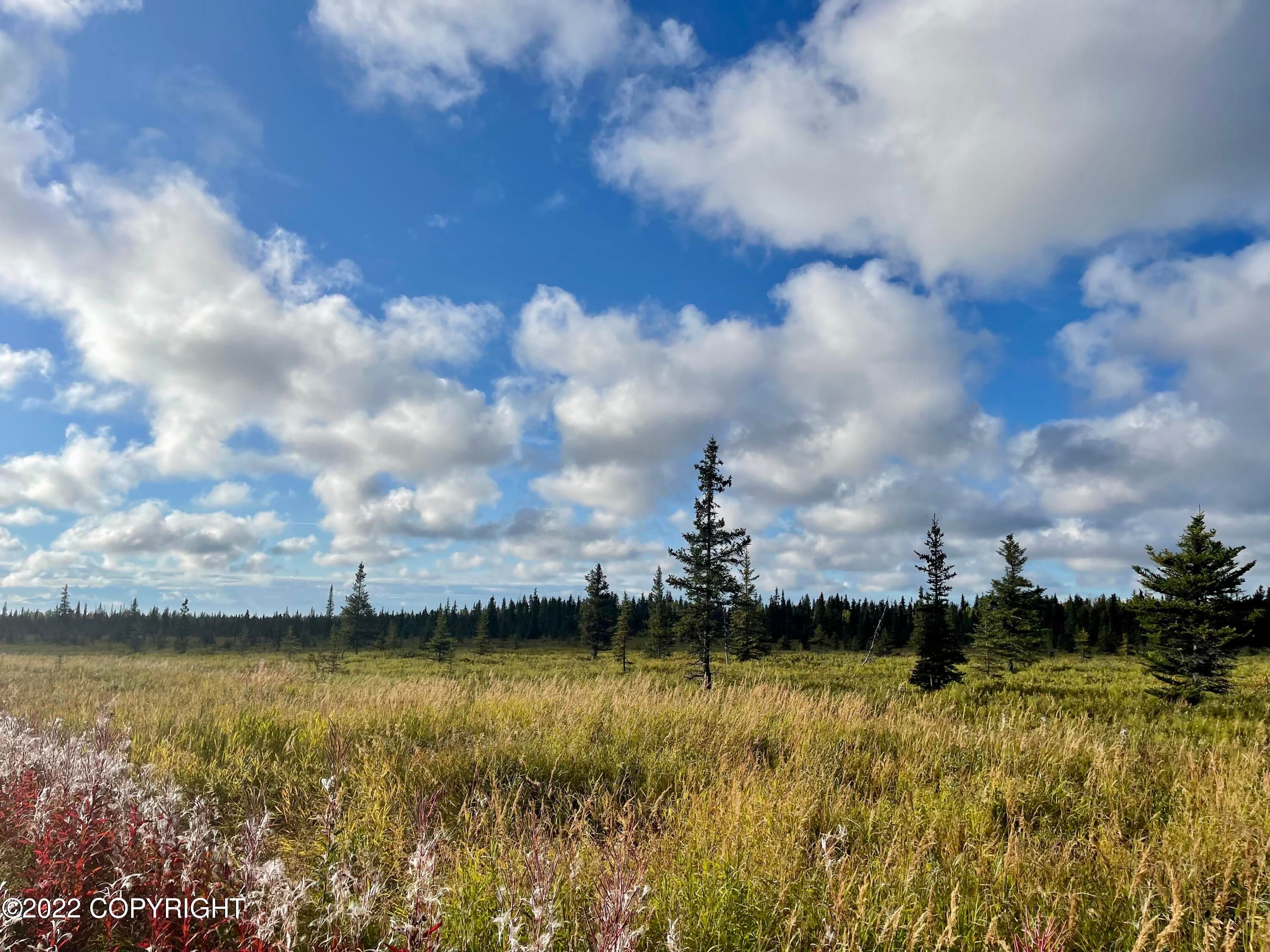 Anchor Point, Kenai Peninsula Borough, AK Undeveloped Land for sale