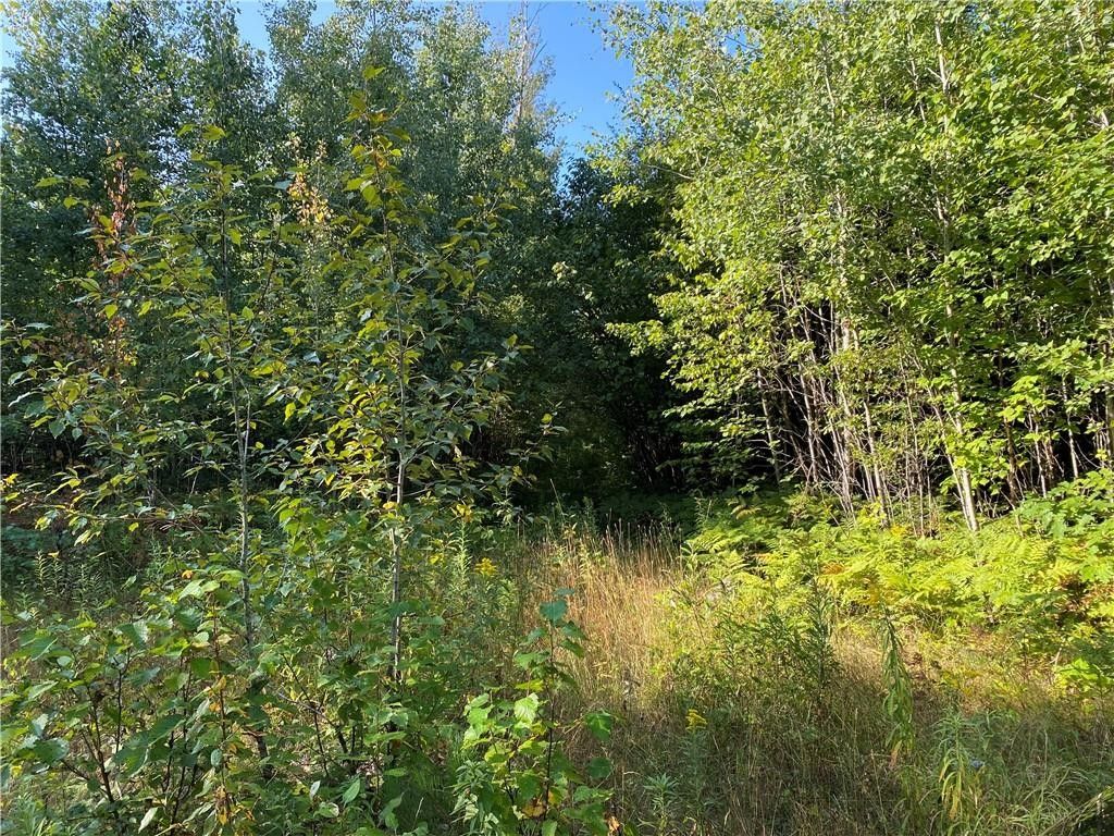 Lake Nebagamon, Douglas County, WI Farms and Ranches for sale Property