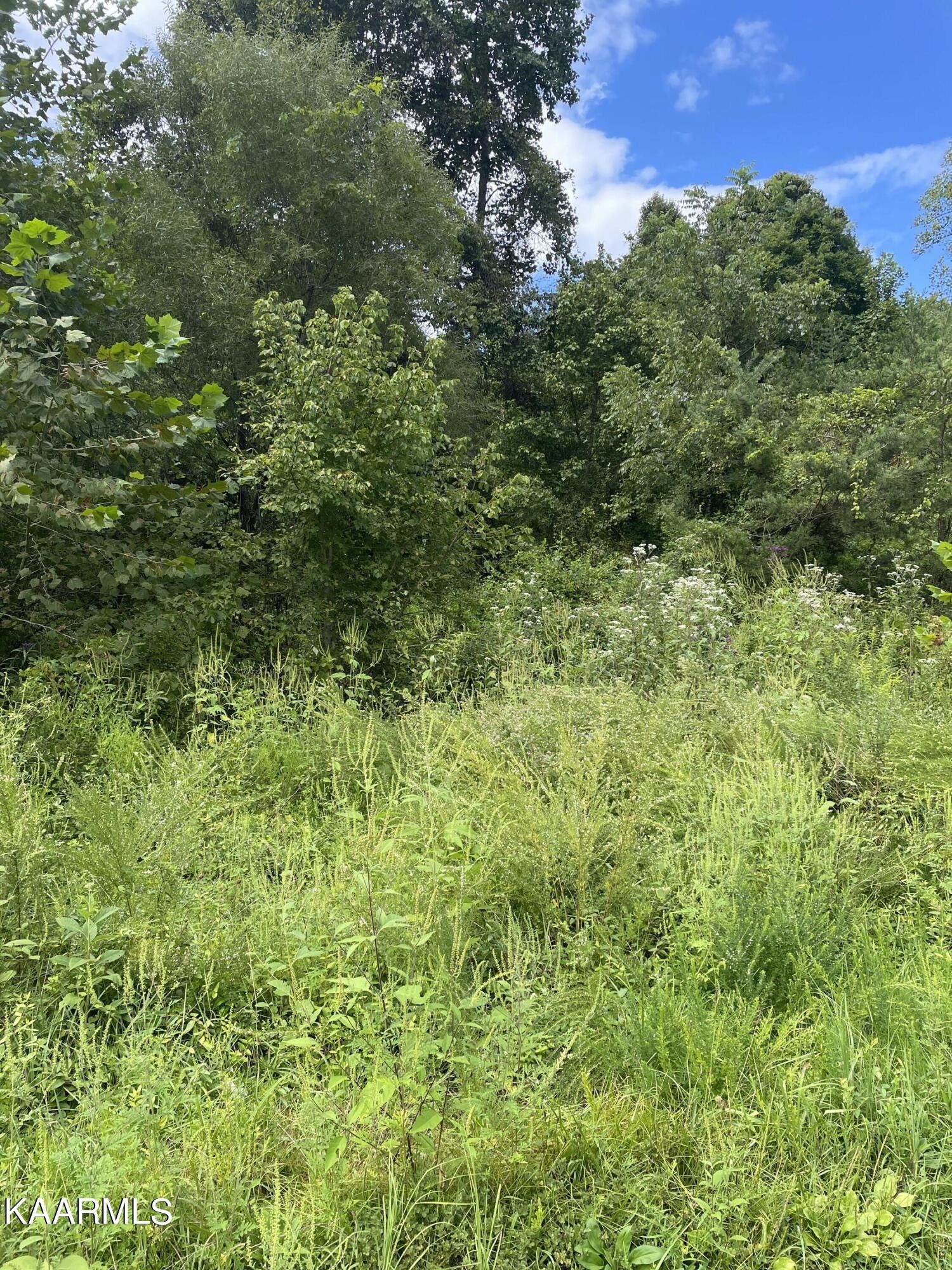 Tazewell, Claiborne County, TN Undeveloped Land for sale Property ID