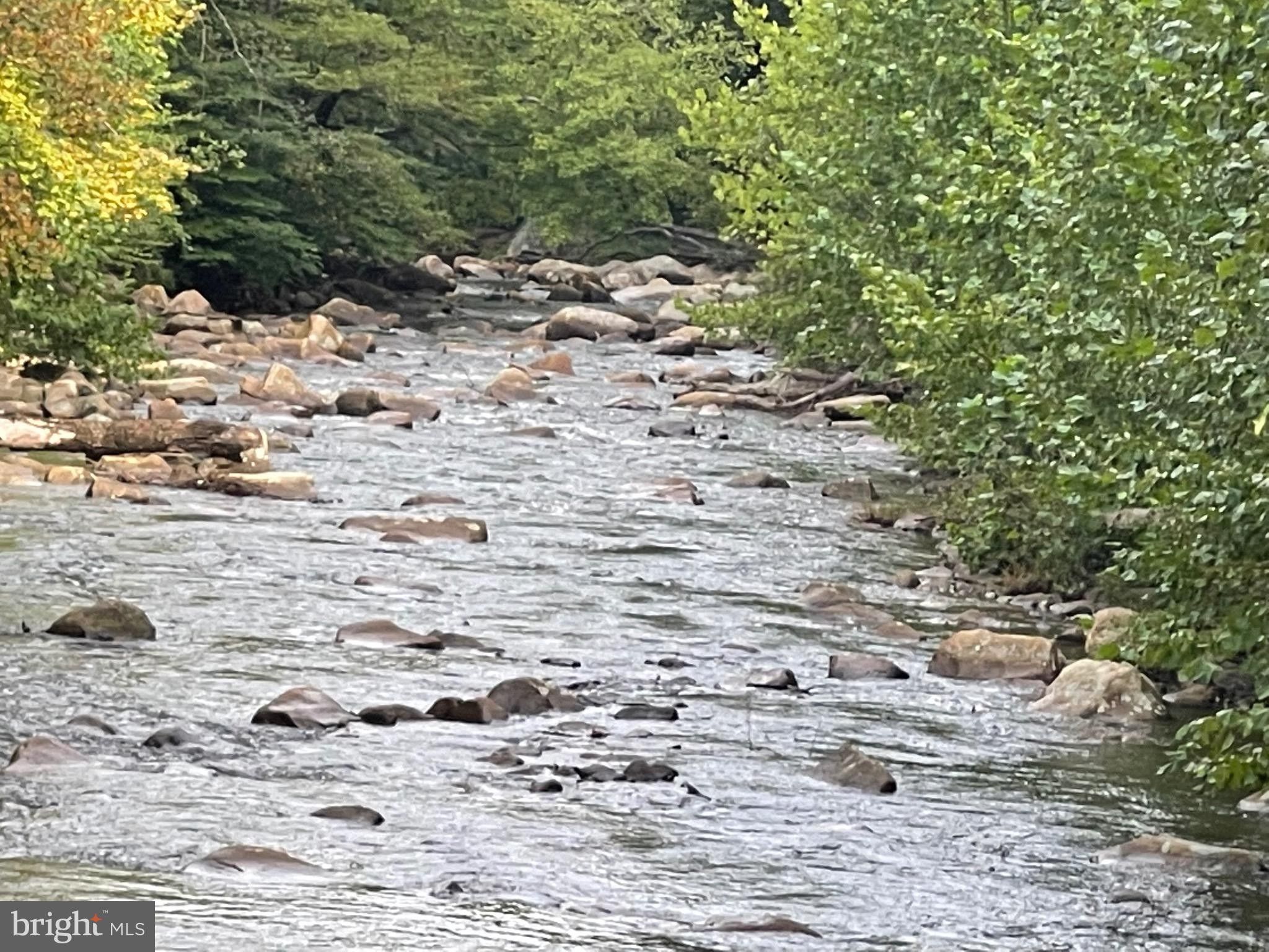 Elk Garden, Mineral County, WV Undeveloped Land for sale Property ID