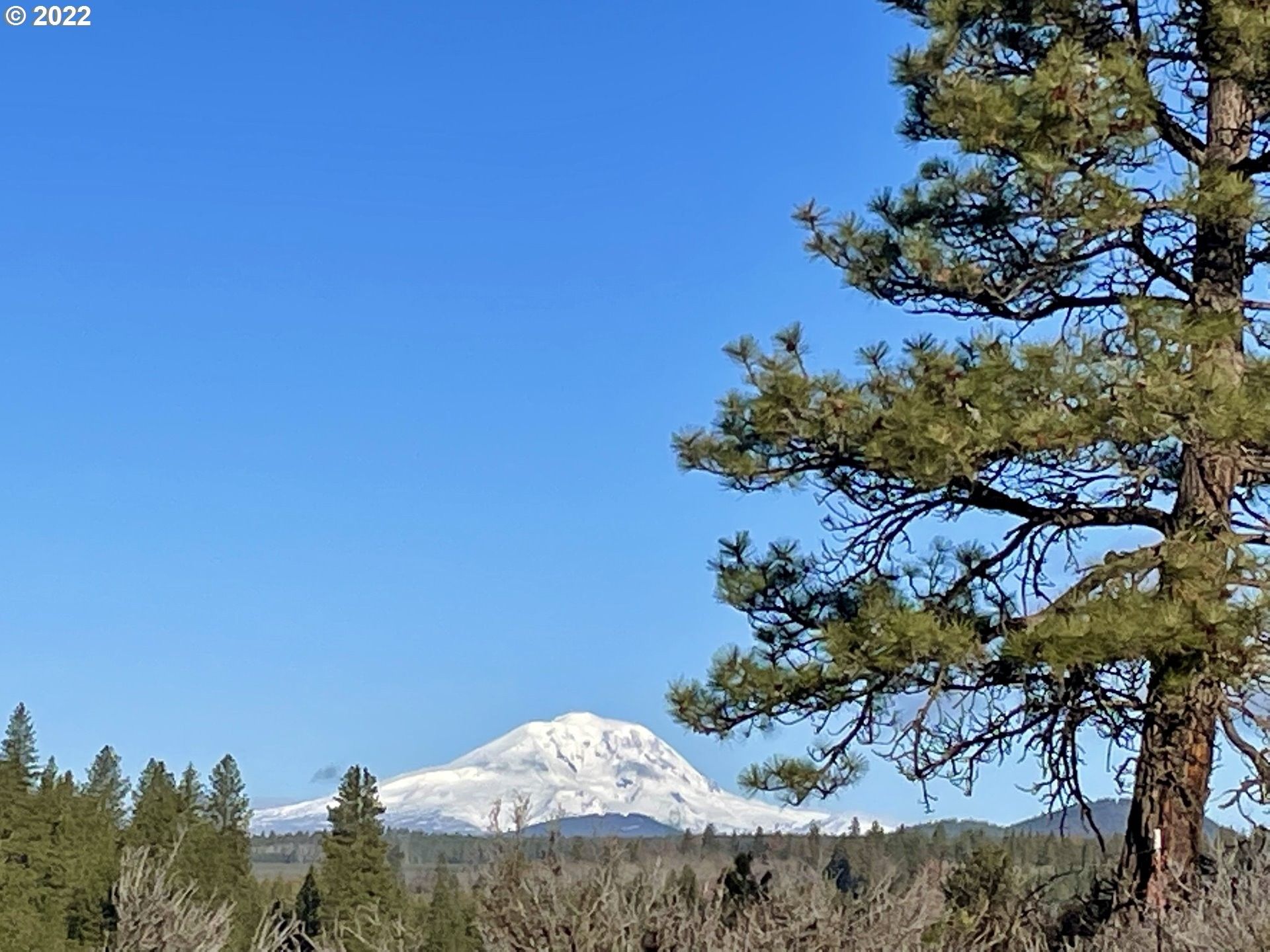 Goldendale, Klickitat County, WA Undeveloped Land for sale Property ID
