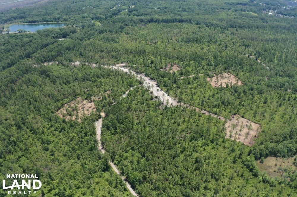 Brunswick, Glynn County, GA Recreational Property, Undeveloped Land for