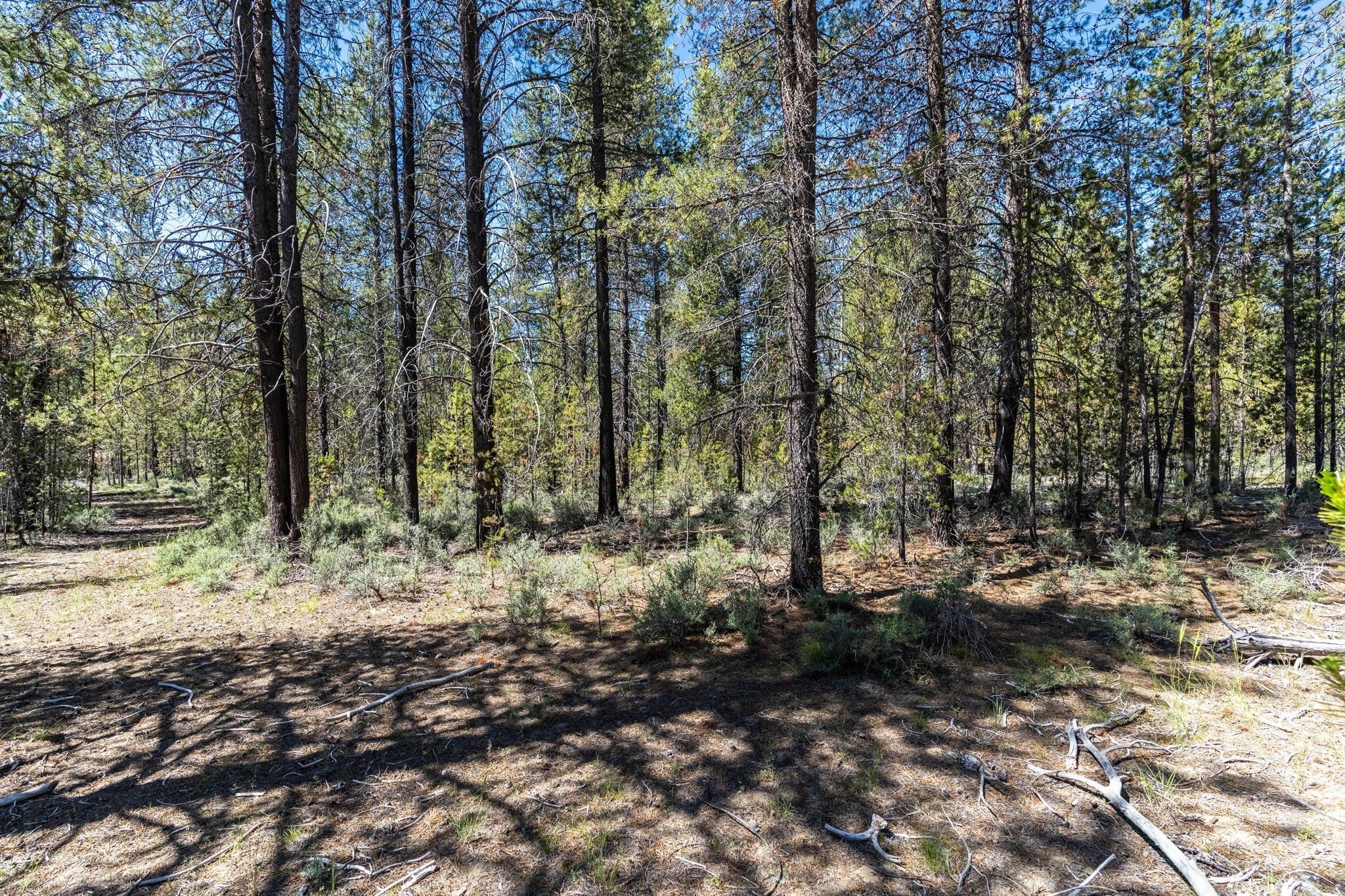 La Pine, Deschutes County, OR Undeveloped Land, Homesites for sale