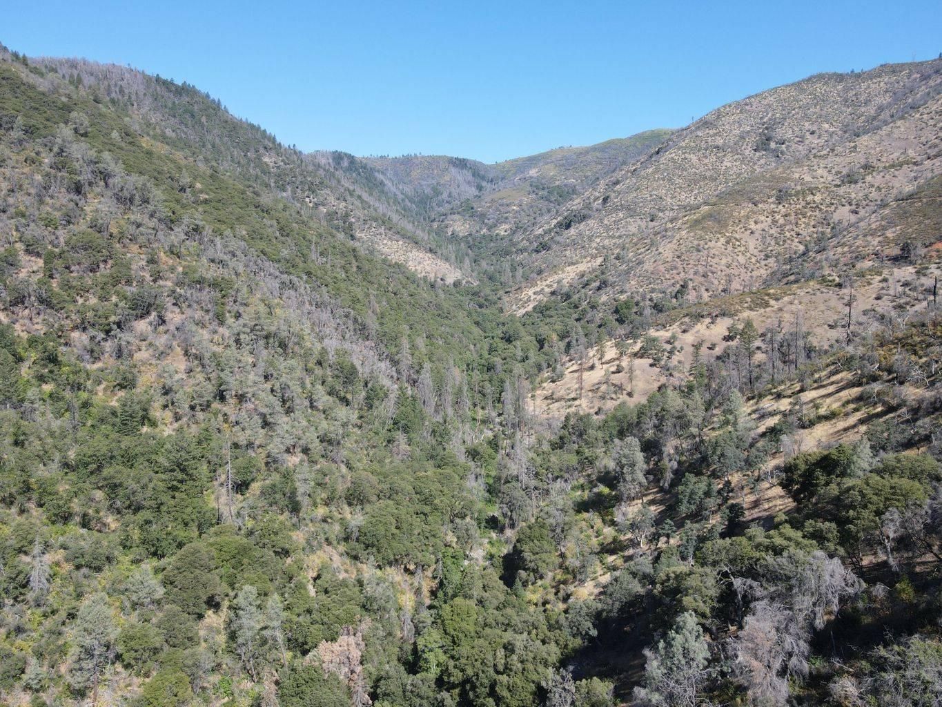 French Gulch, Shasta County, CA Recreational Property for sale Property
