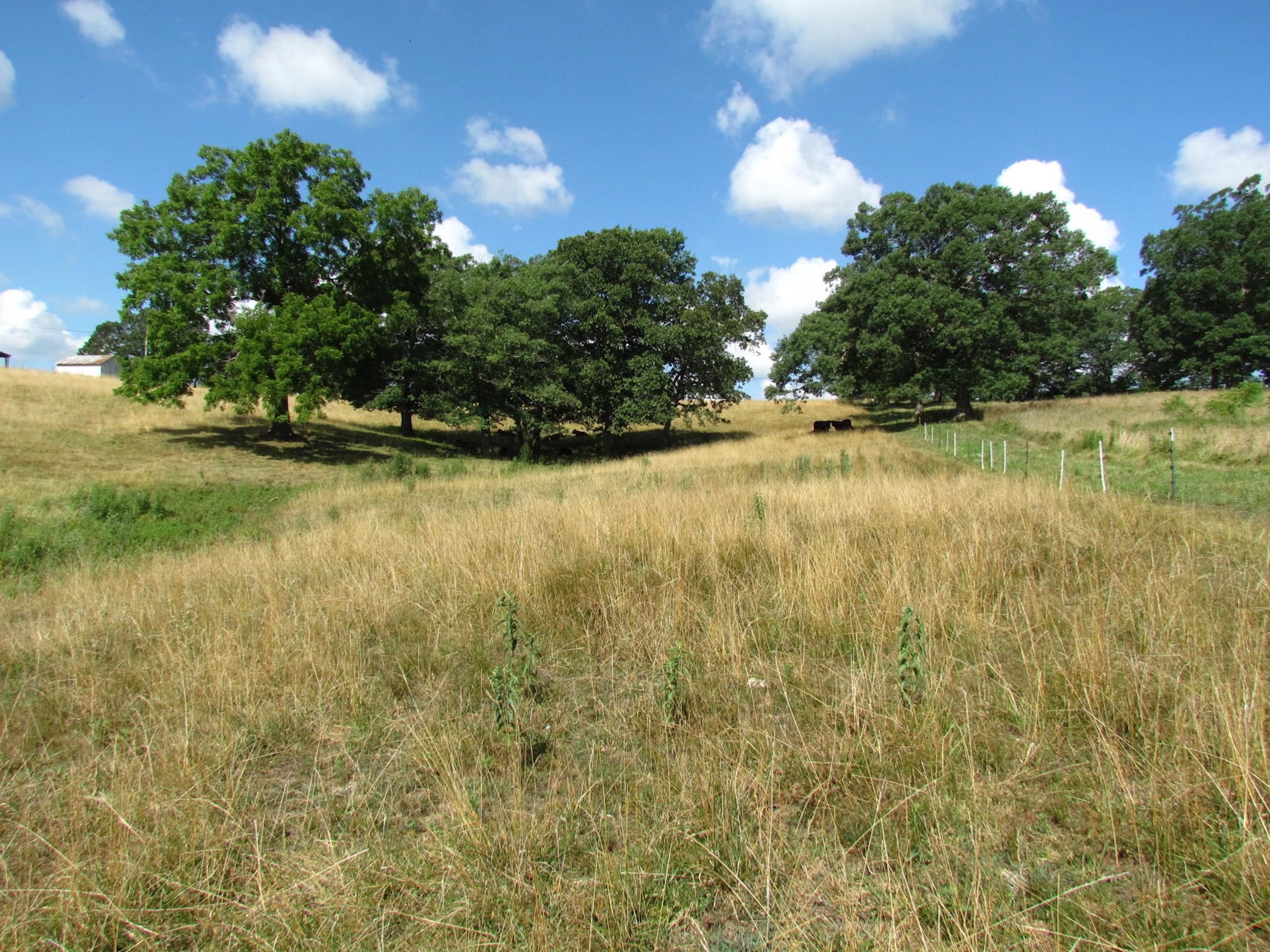 Russelville, Moniteau County, MO Farms and Ranches, Recreational