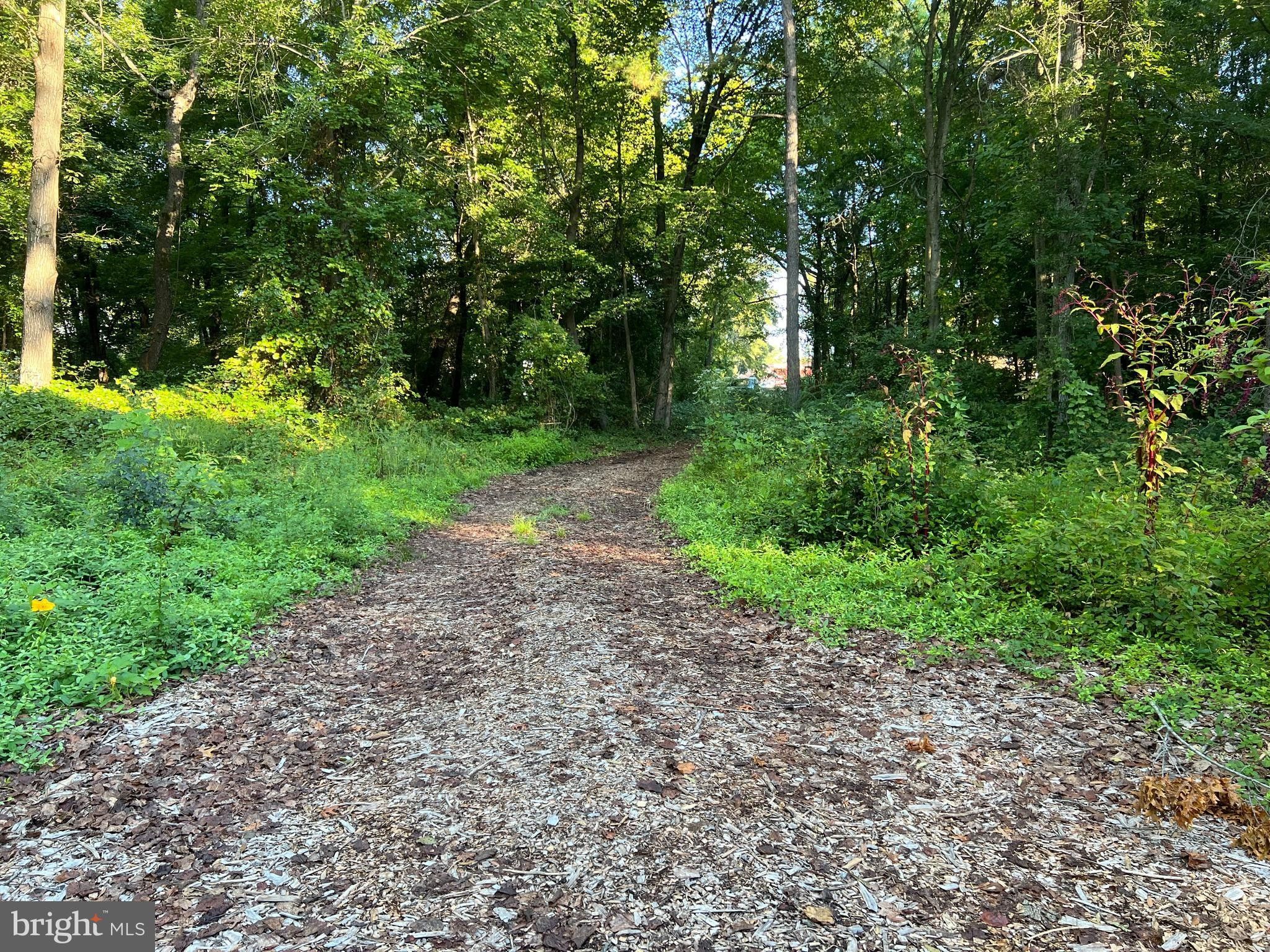 Cordova, Talbot County, MD Undeveloped Land for sale Property ID