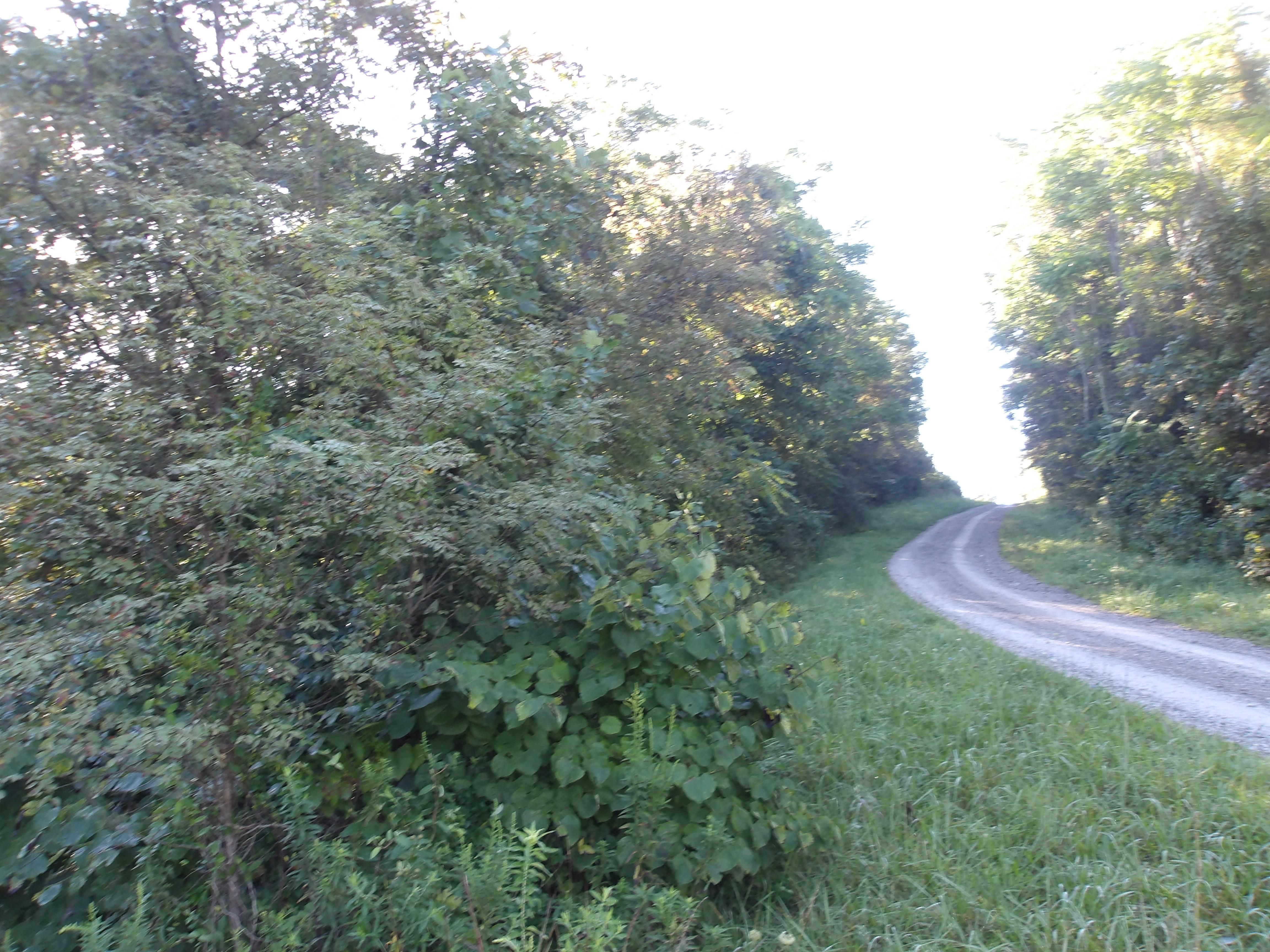 32.54 acres in Caldwell, OH, 43724 LandWatch