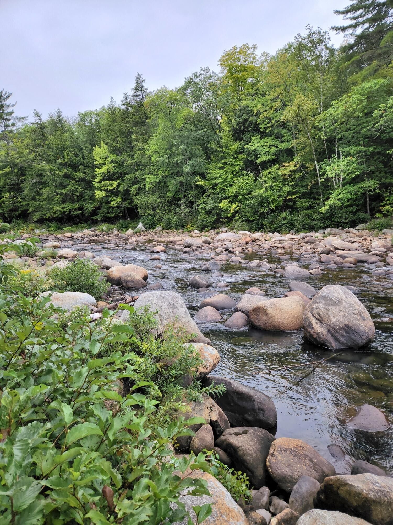 Roxbury, Oxford County, ME Undeveloped Land, Lakefront Property