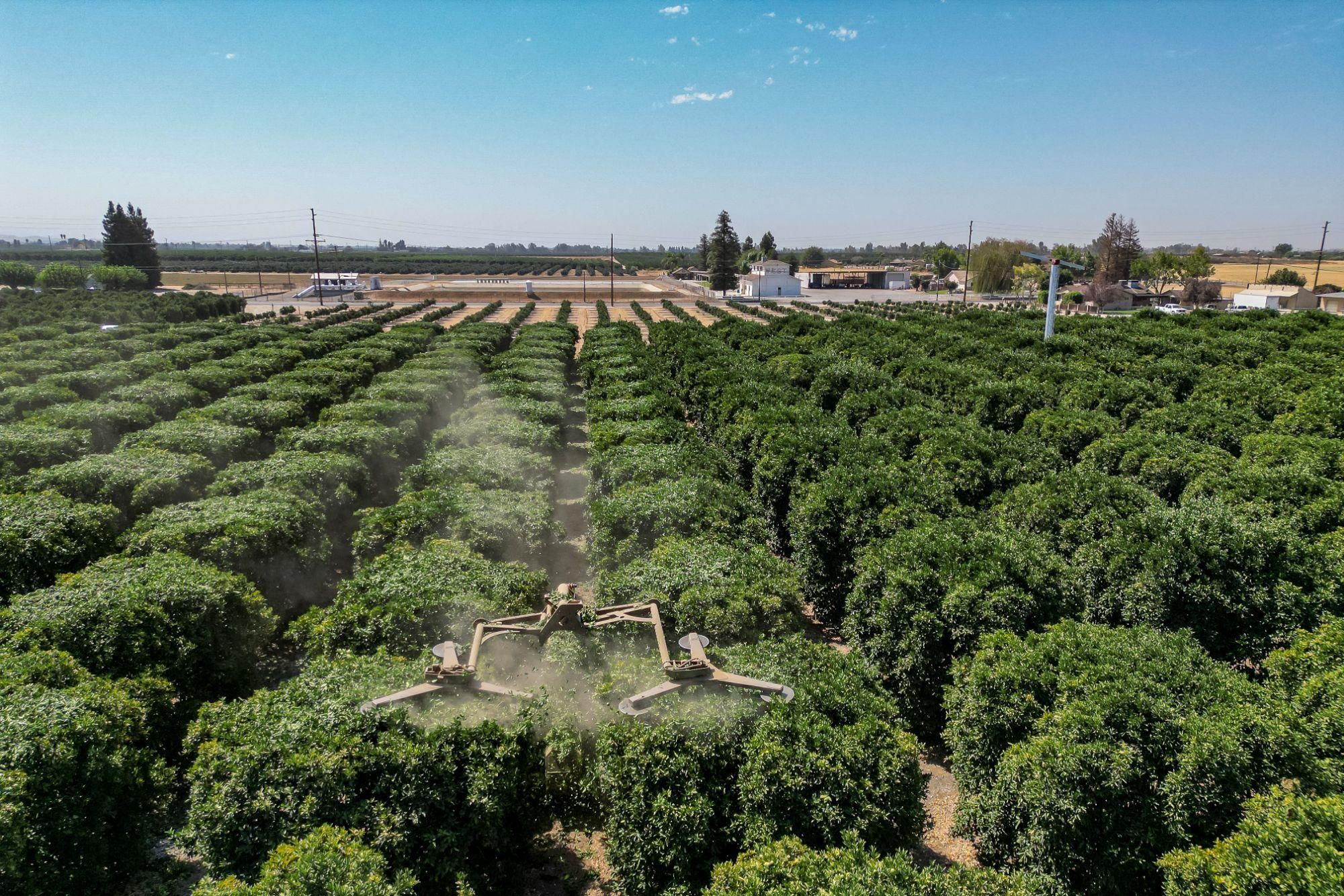 Porterville, Tulare County, CA Farms and Ranches, House for sale