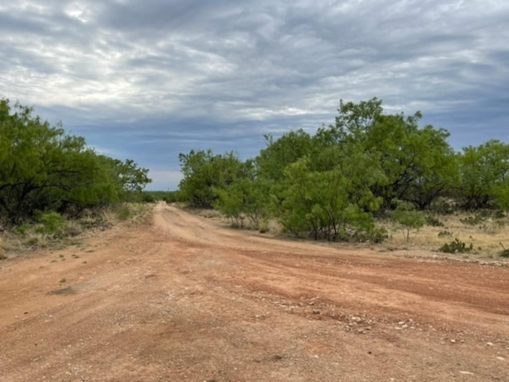 Robert Lee, Coke County, TX Farms and Ranches, Recreational Property