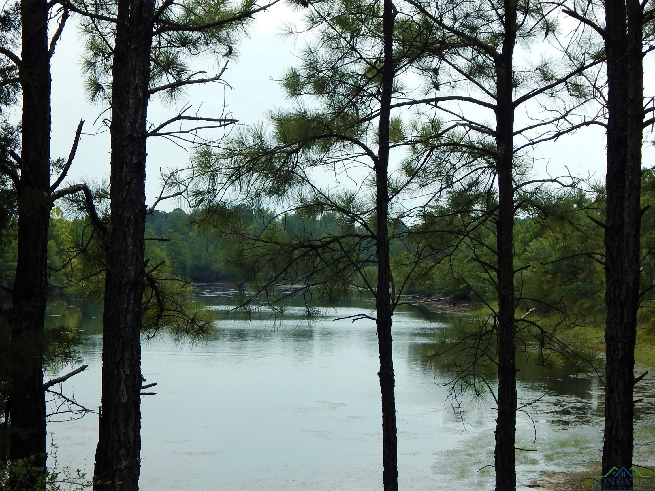 Linden, Cass County, TX Undeveloped Land for sale Property ID