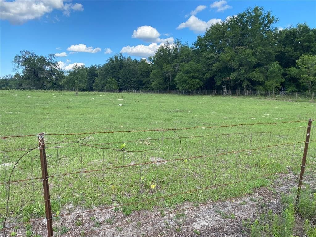 Williston, Levy County, FL Undeveloped Land for sale Property ID