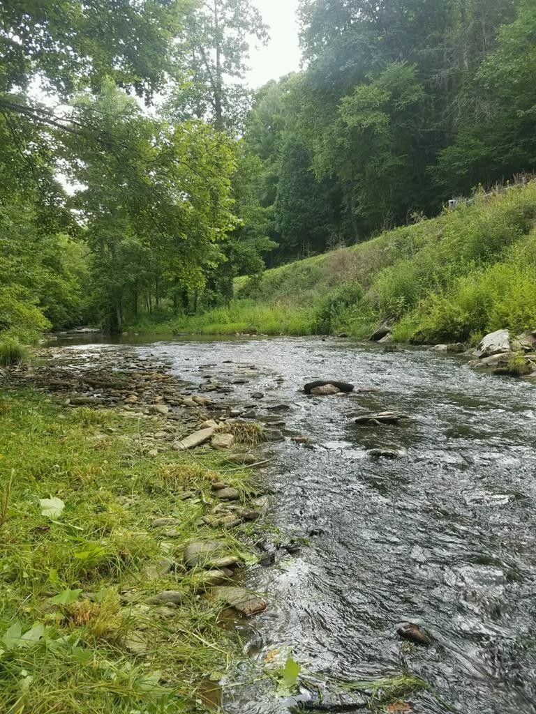 Bryson City, Swain County, NC Undeveloped Land for sale Property ID