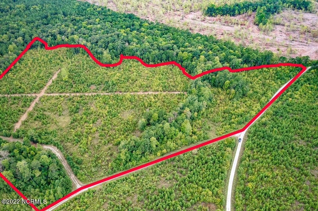 Blounts Creek, Beaufort County, NC Undeveloped Land for sale Property