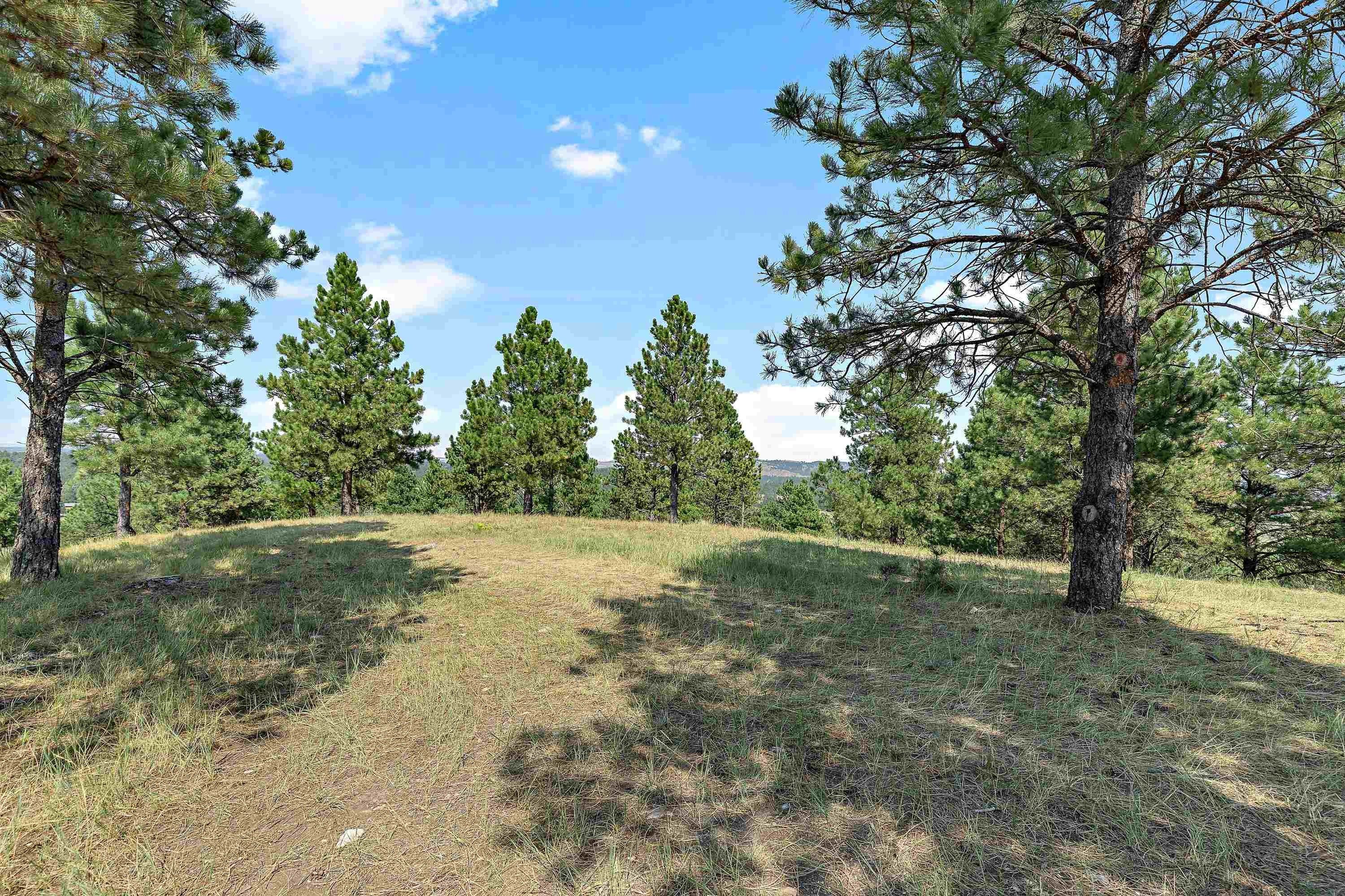 Hermosa, Pennington County, SD Undeveloped Land for sale Property ID