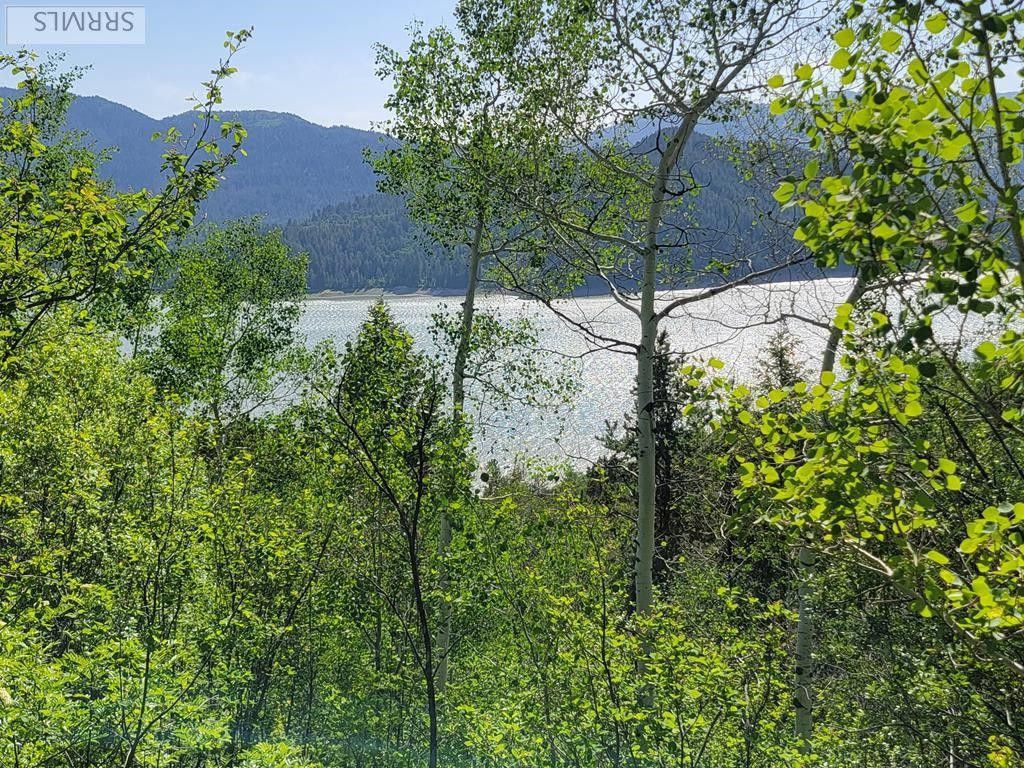 Irwin, Bonneville County, ID Undeveloped Land, Lakefront Property