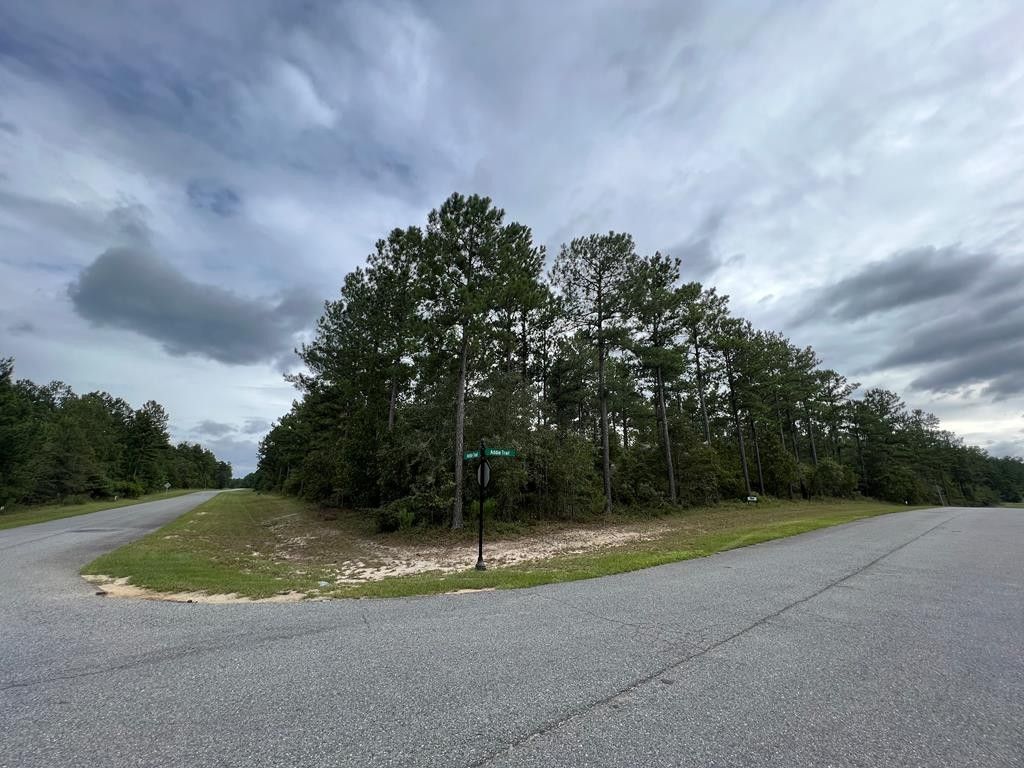 Dublin, Laurens County, GA Undeveloped Land, Homesites for sale