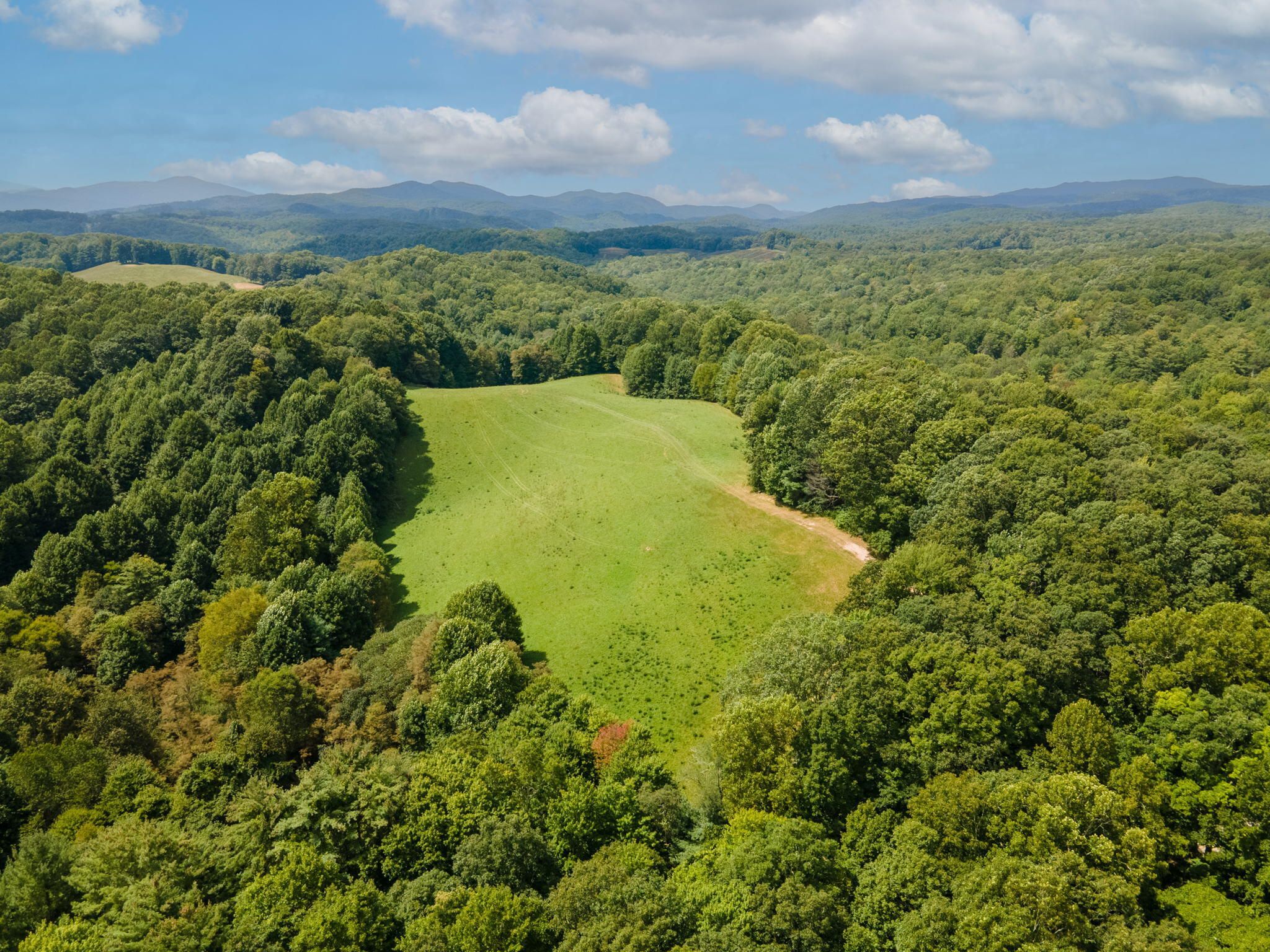 Roan Mountain, Carter County, TN Undeveloped Land for sale Property ID