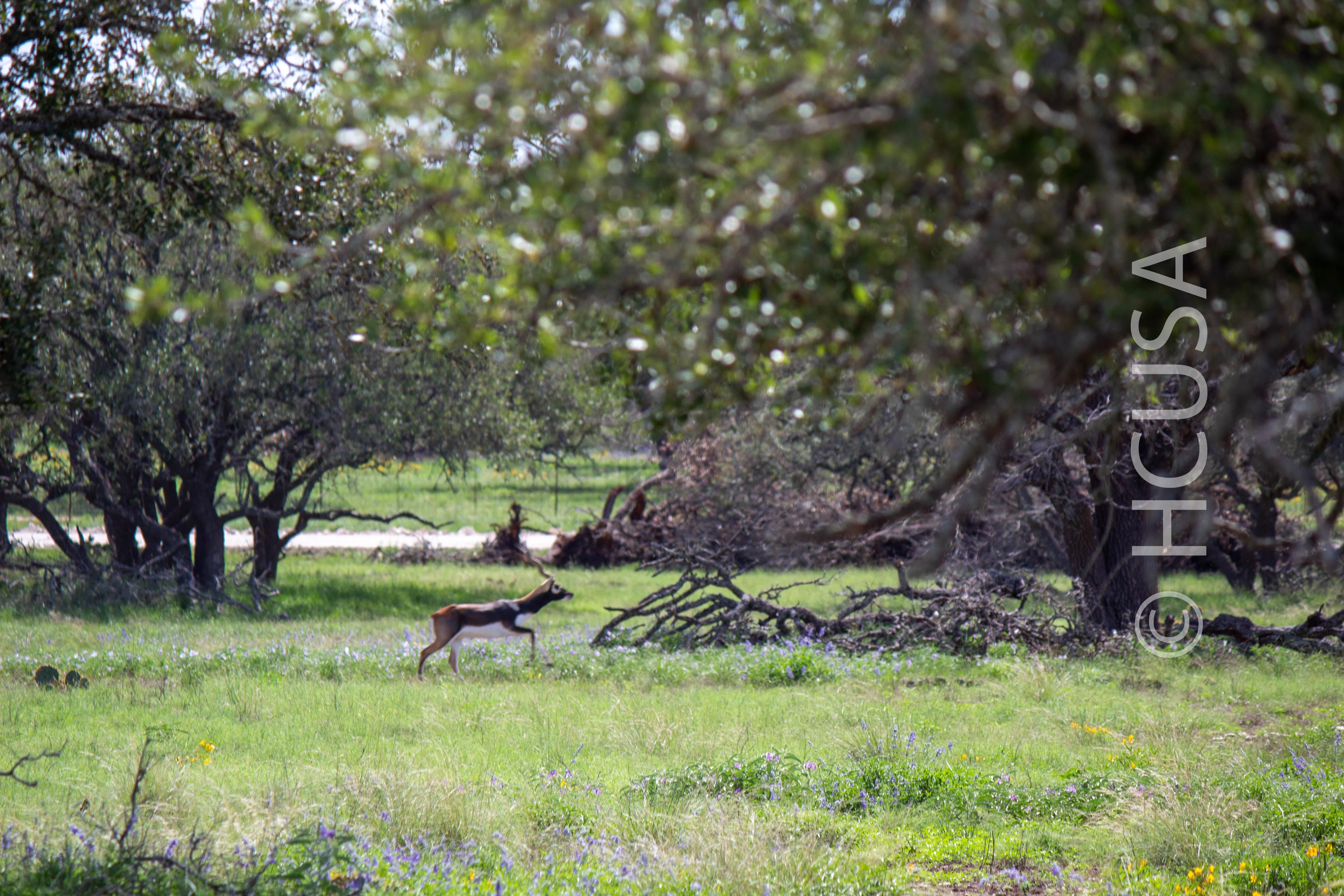 Harper, Kimble County, TX Farms and Ranches, Recreational Property for sale Property ID