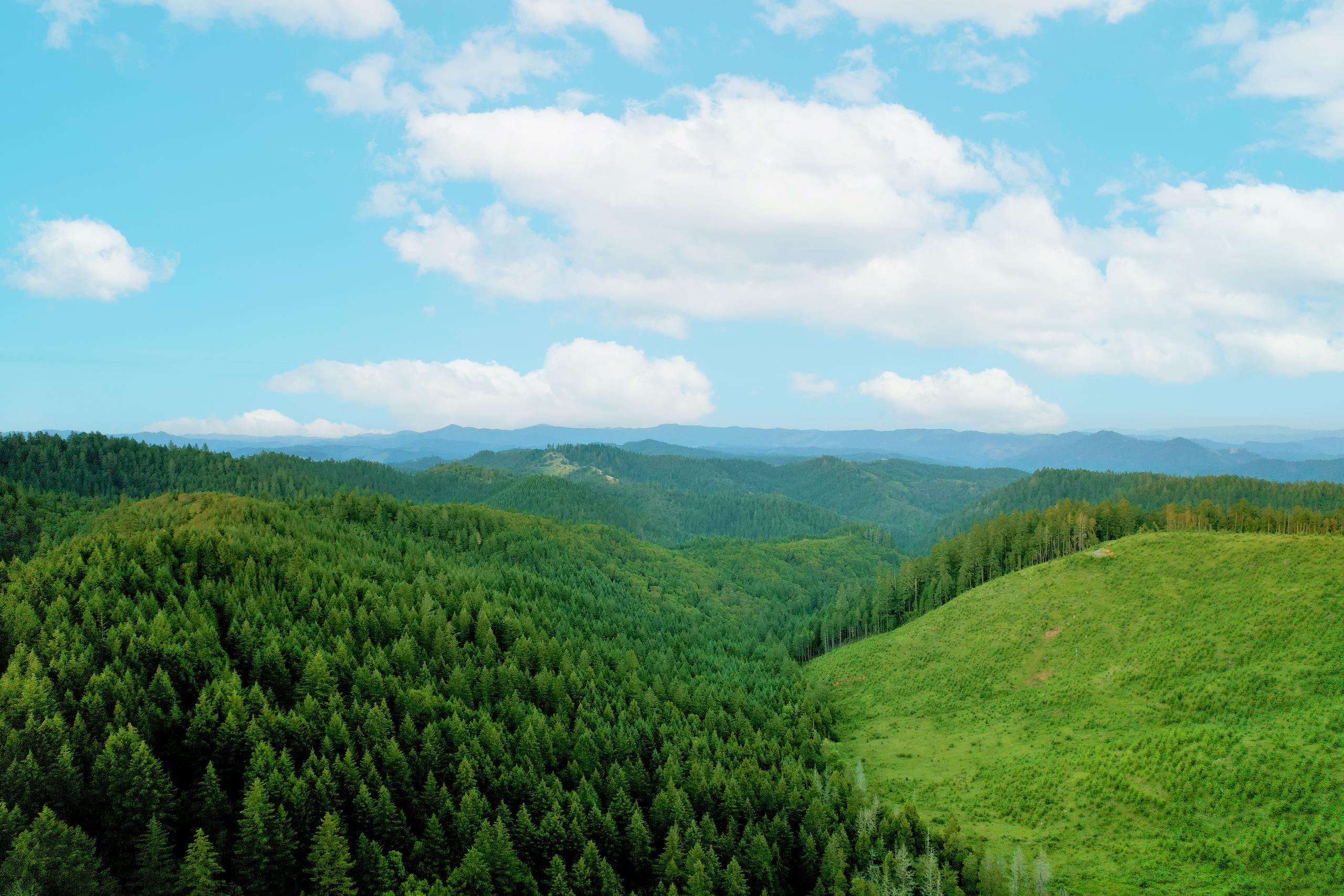 Myrtle Creek, Douglas County, OR Farms and Ranches, Recreational