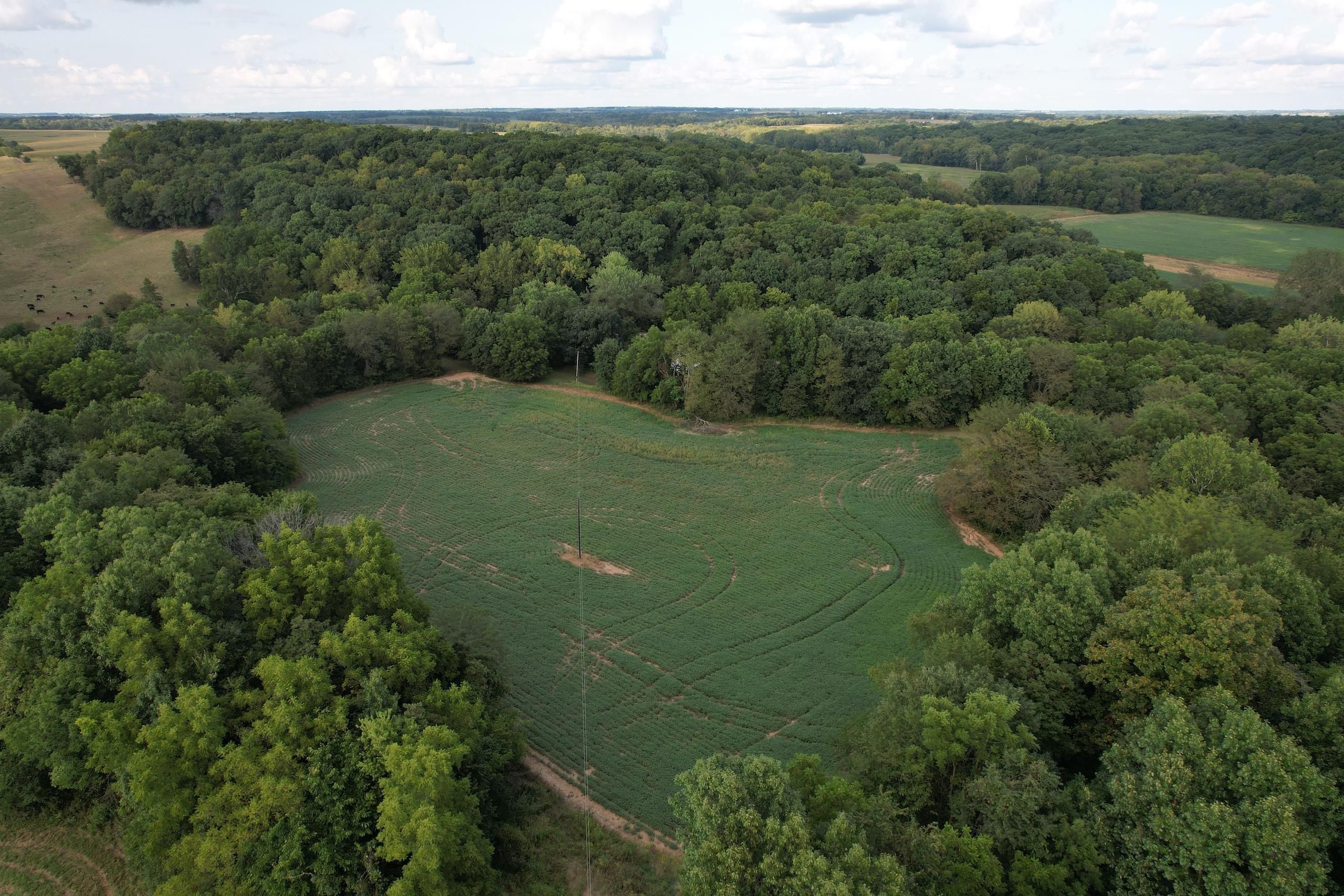 Barry, Pike County, IL Recreational Property, Hunting Property for sale