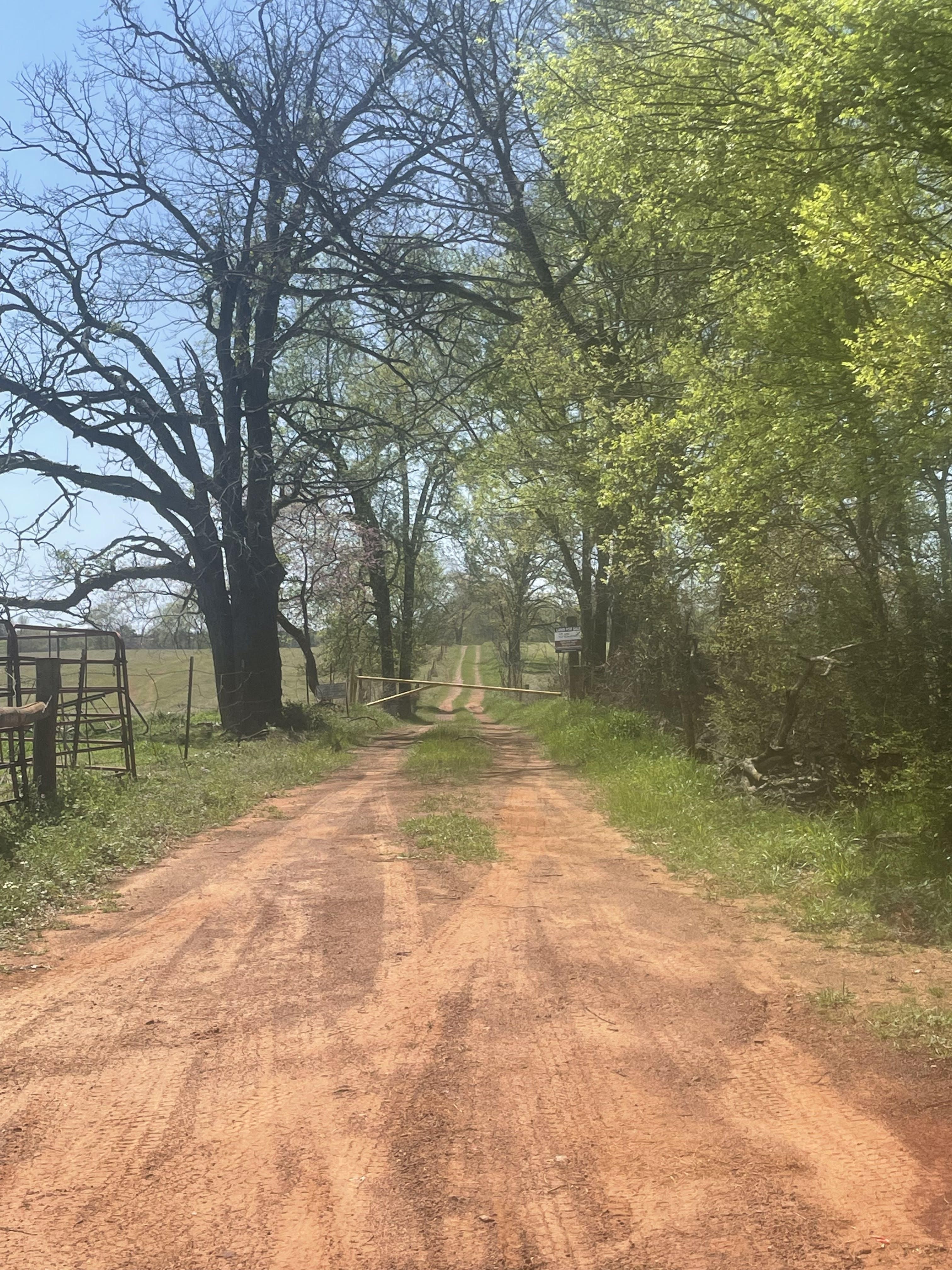 Douglass, Nacogdoches County, TX Recreational Property, Timberland