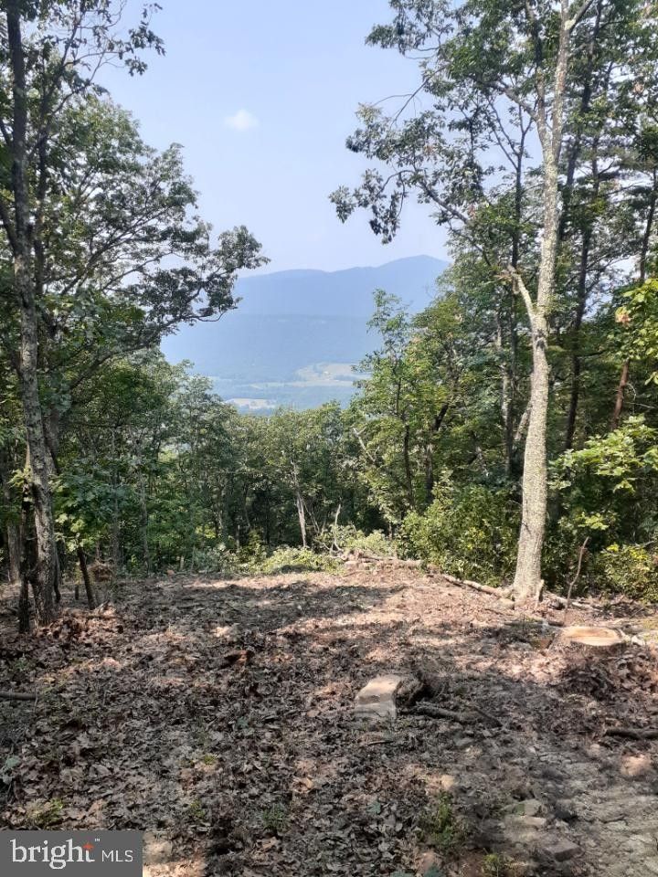 Moorefield, Hardy County, WV Undeveloped Land for sale Property ID