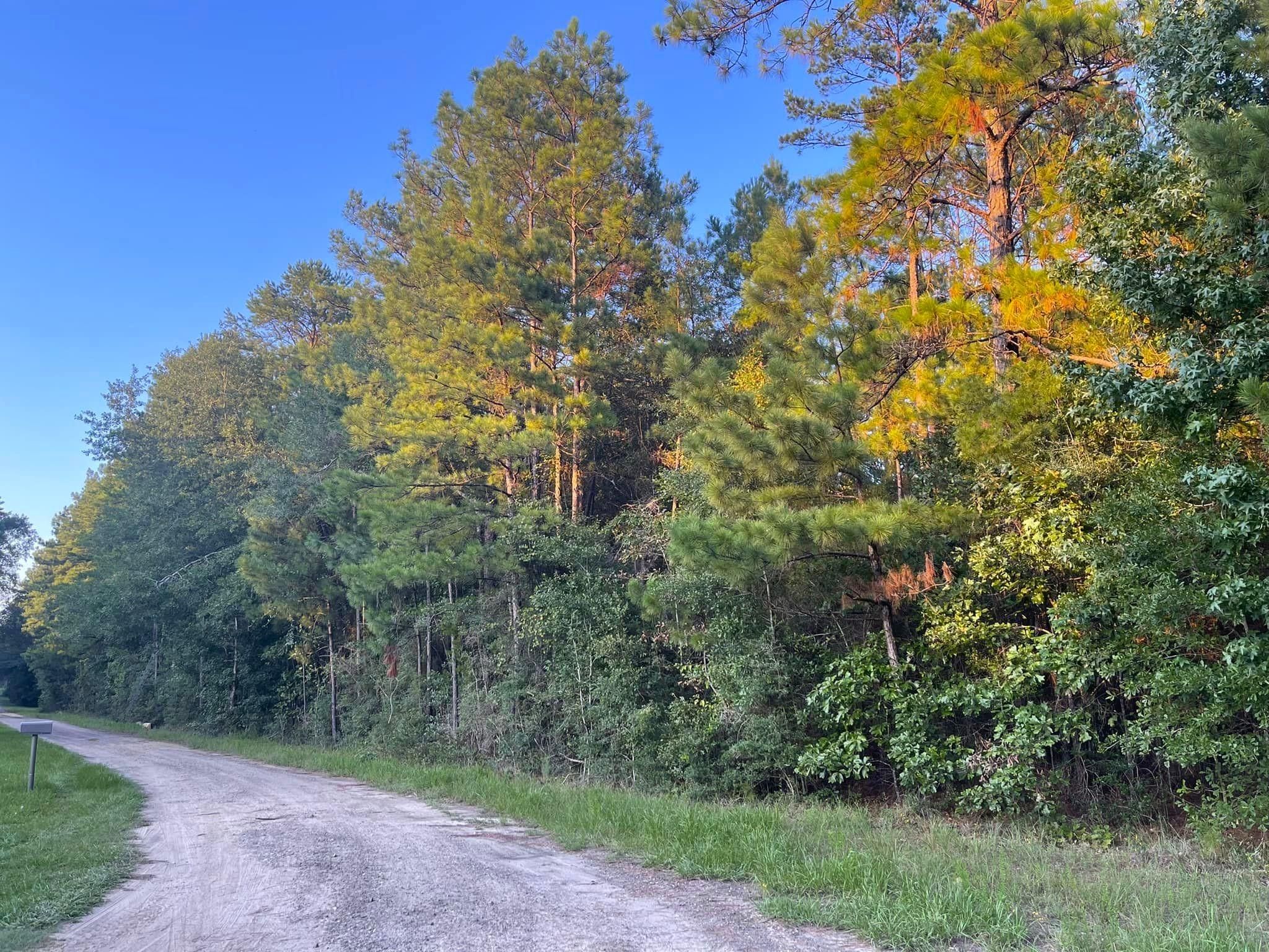 Woodville, Tyler County, TX Recreational Property, Undeveloped Land