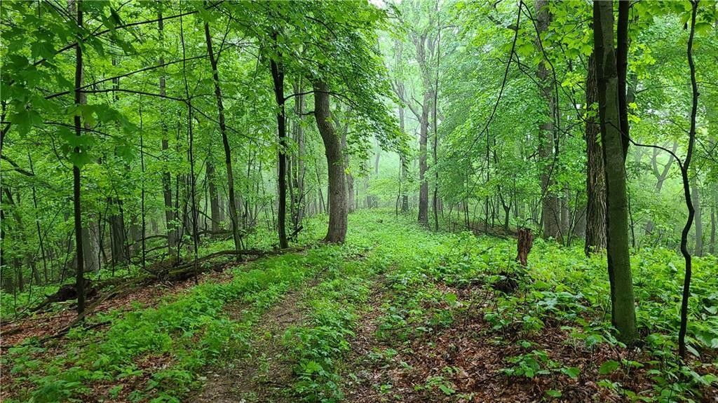 Wheeler, Dunn County, WI Undeveloped Land, Lakefront Property