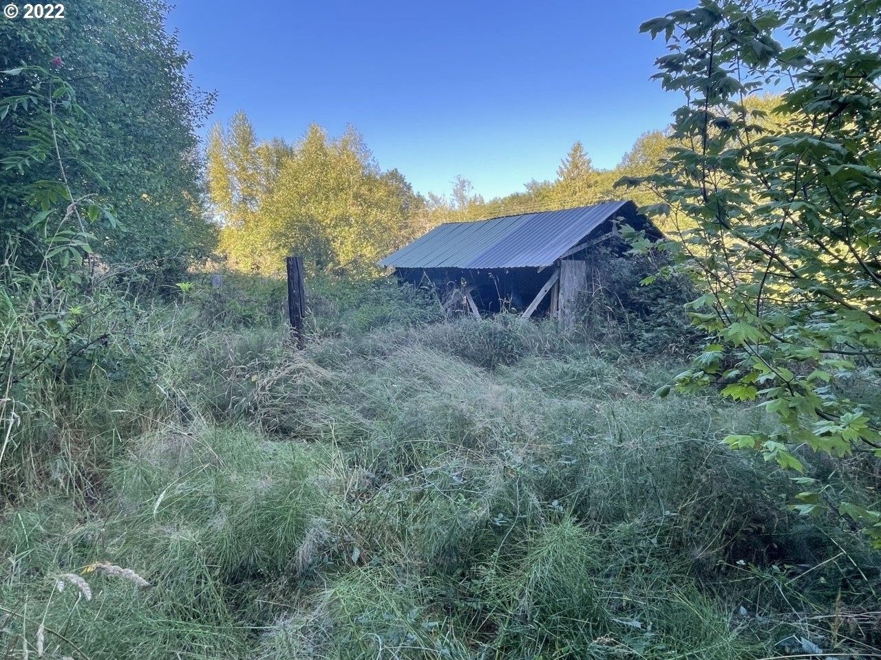 Clatskanie, Columbia County, OR Farms and Ranches for sale Property ID