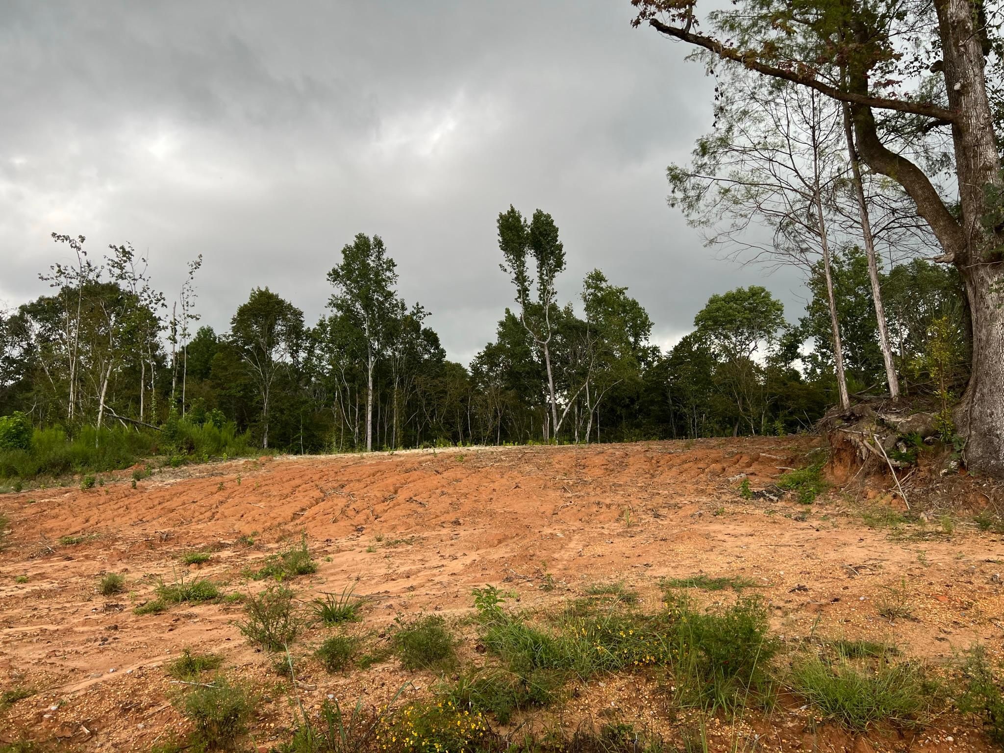 Demopolis, Marengo County, AL Recreational Property, Timberland